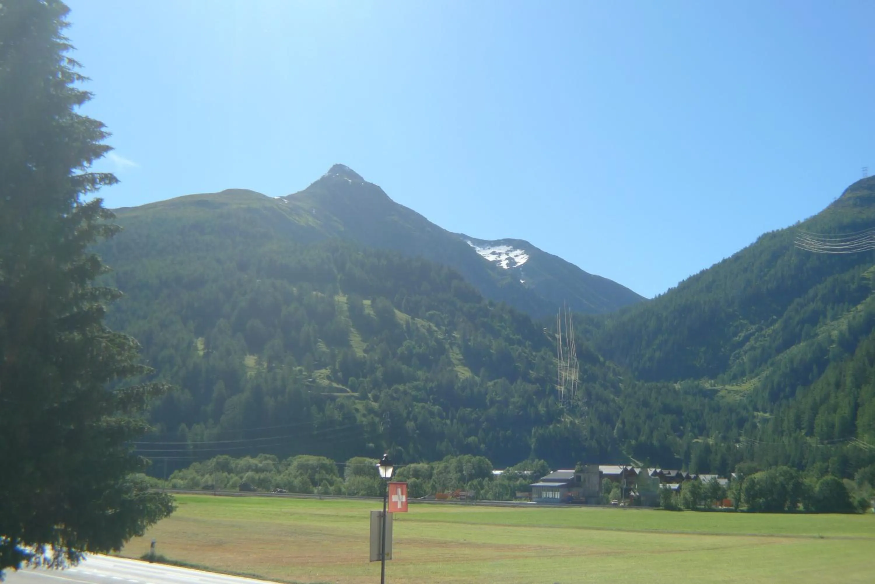 Natural landscape in Hotel Astoria
