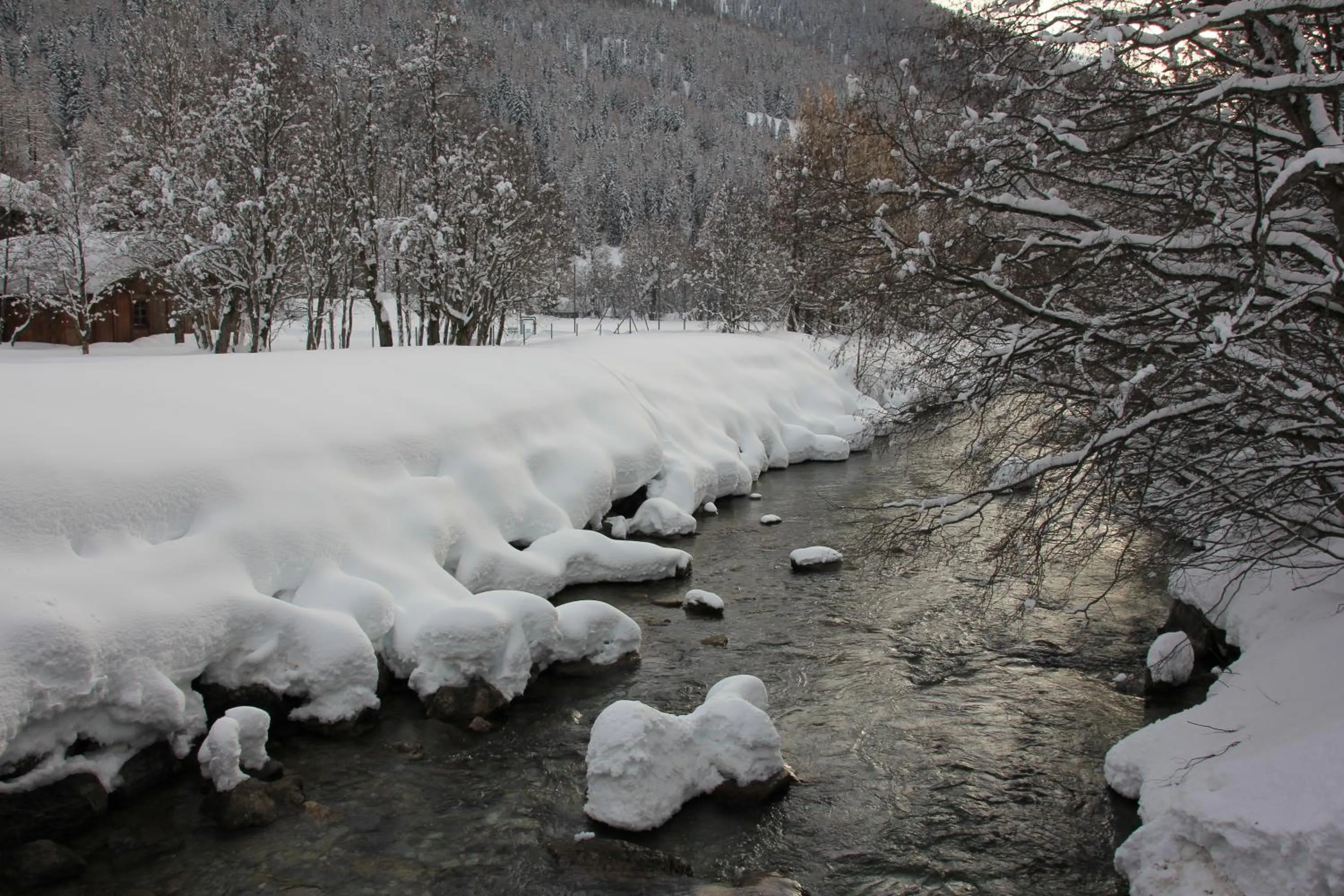 Natural landscape in Hotel Astoria