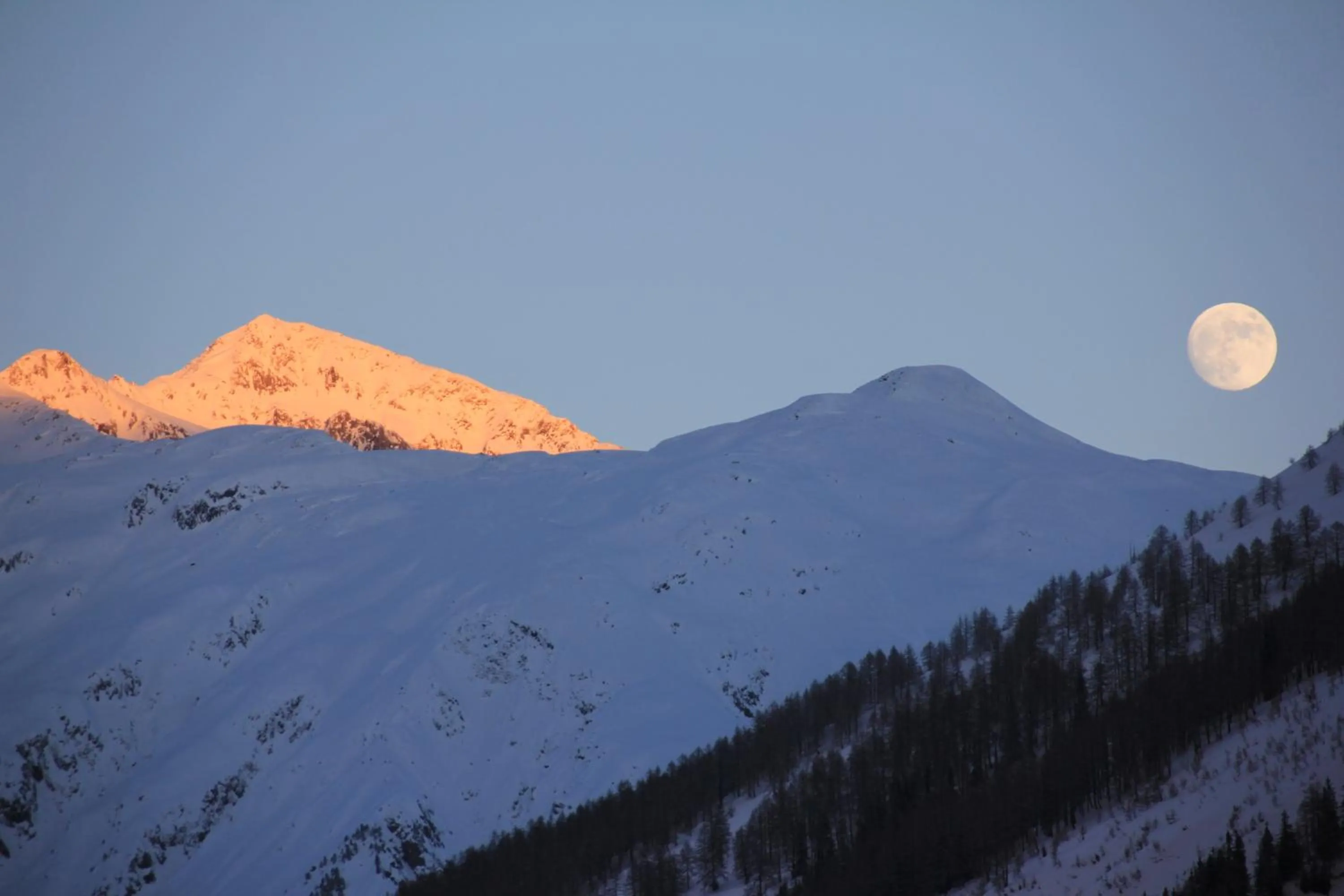 Natural landscape in Hotel Astoria
