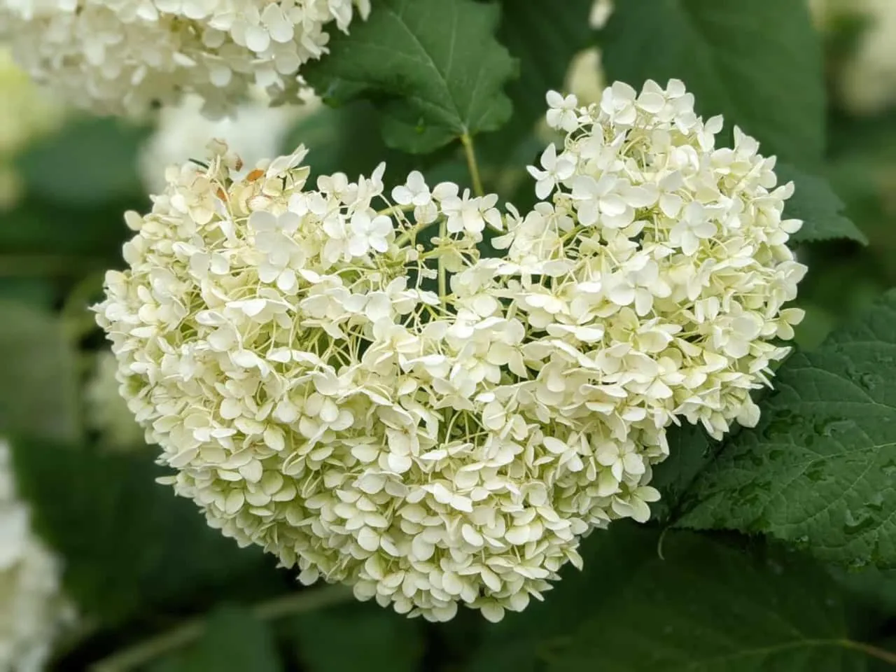 Property building in Hotel Le Postillion