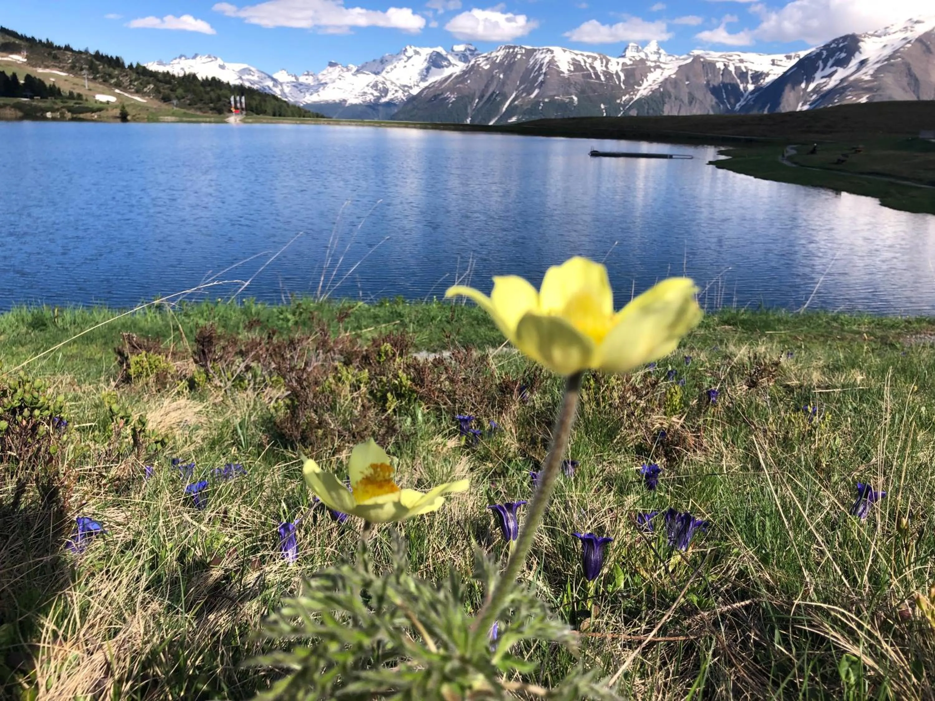 Natural landscape in Hotel Le Postillion