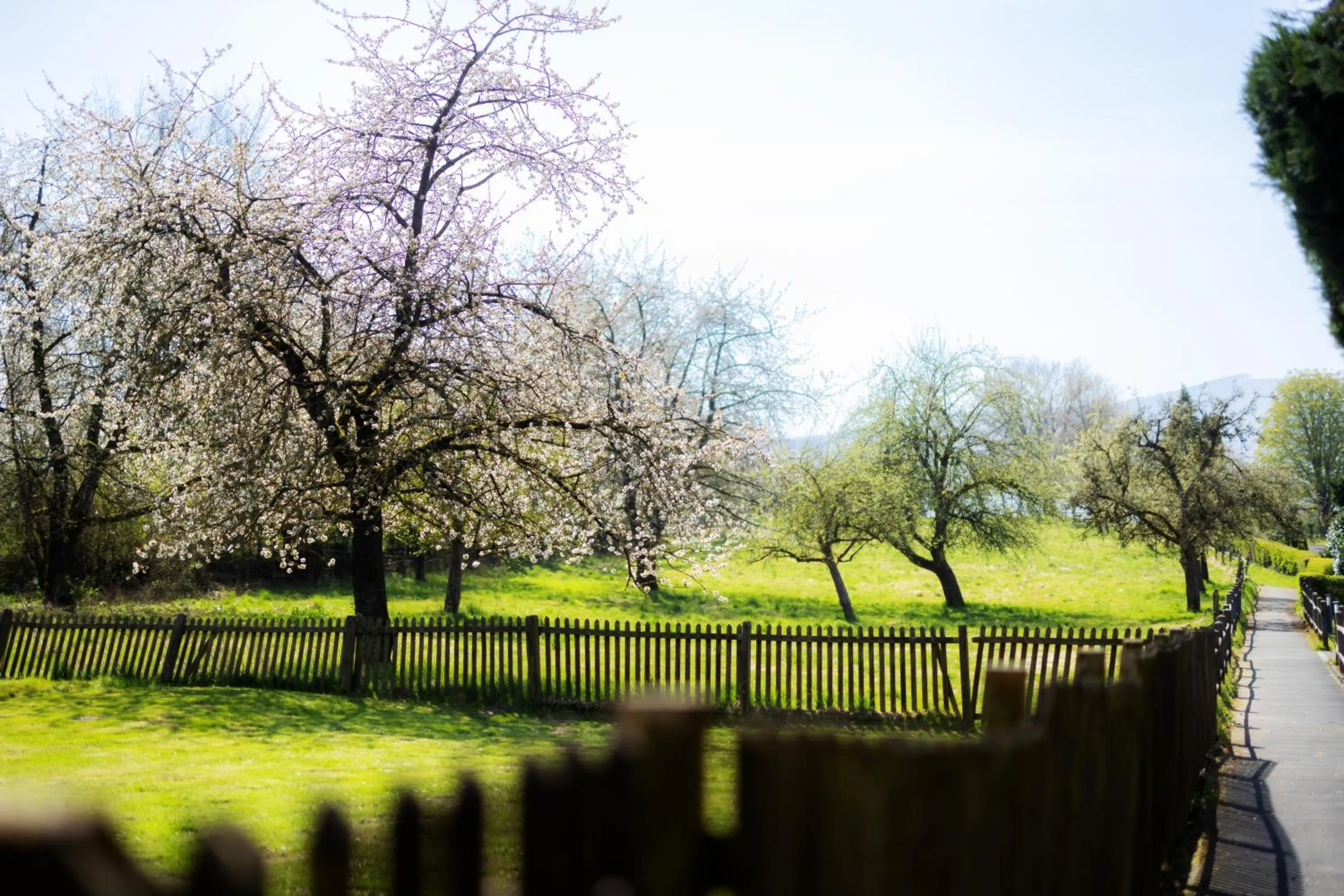 Garden in Hotel Antoniushütte