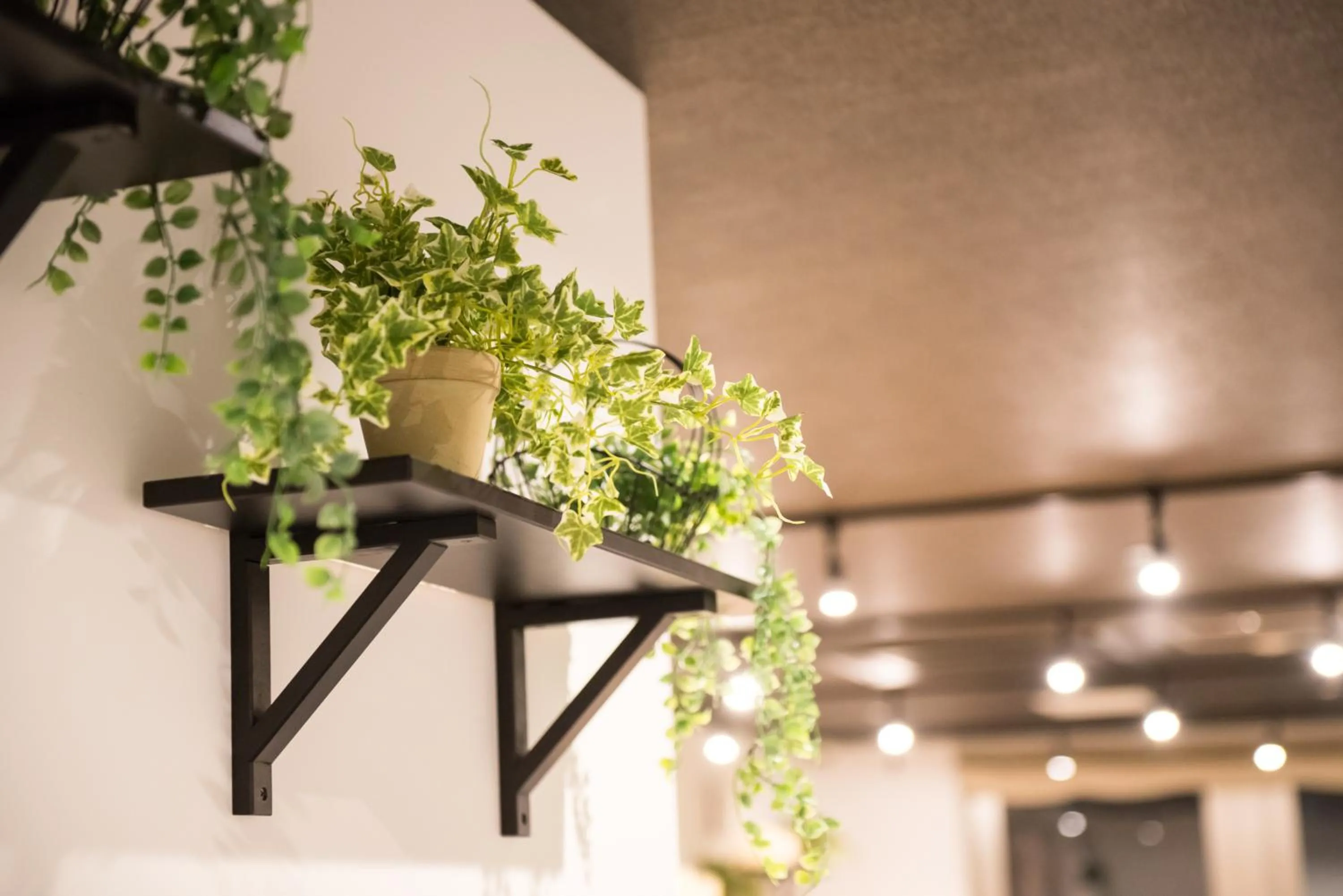 Decorative detail in KIZUNA HOTEL Gojo Kiyomizu-dera Kamogawa