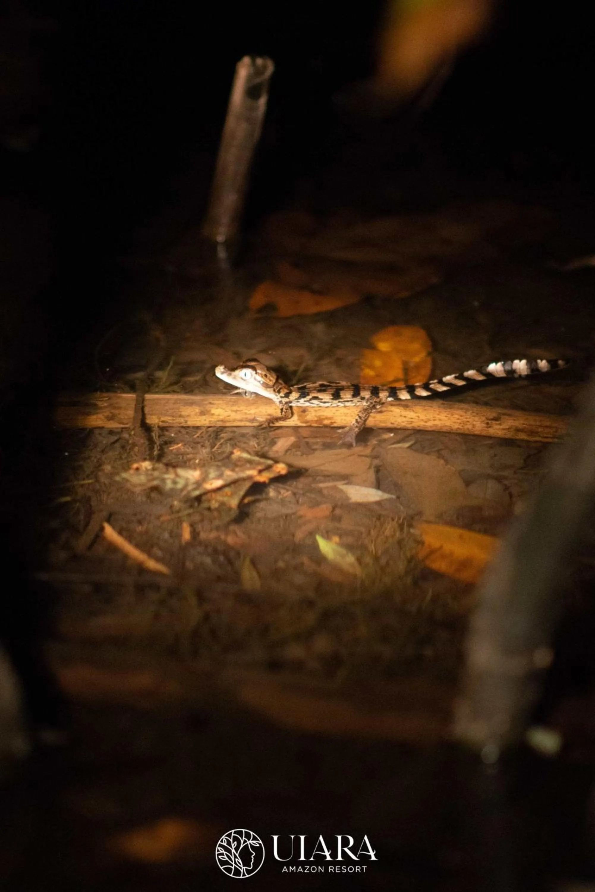 Uiara Amazon Resort