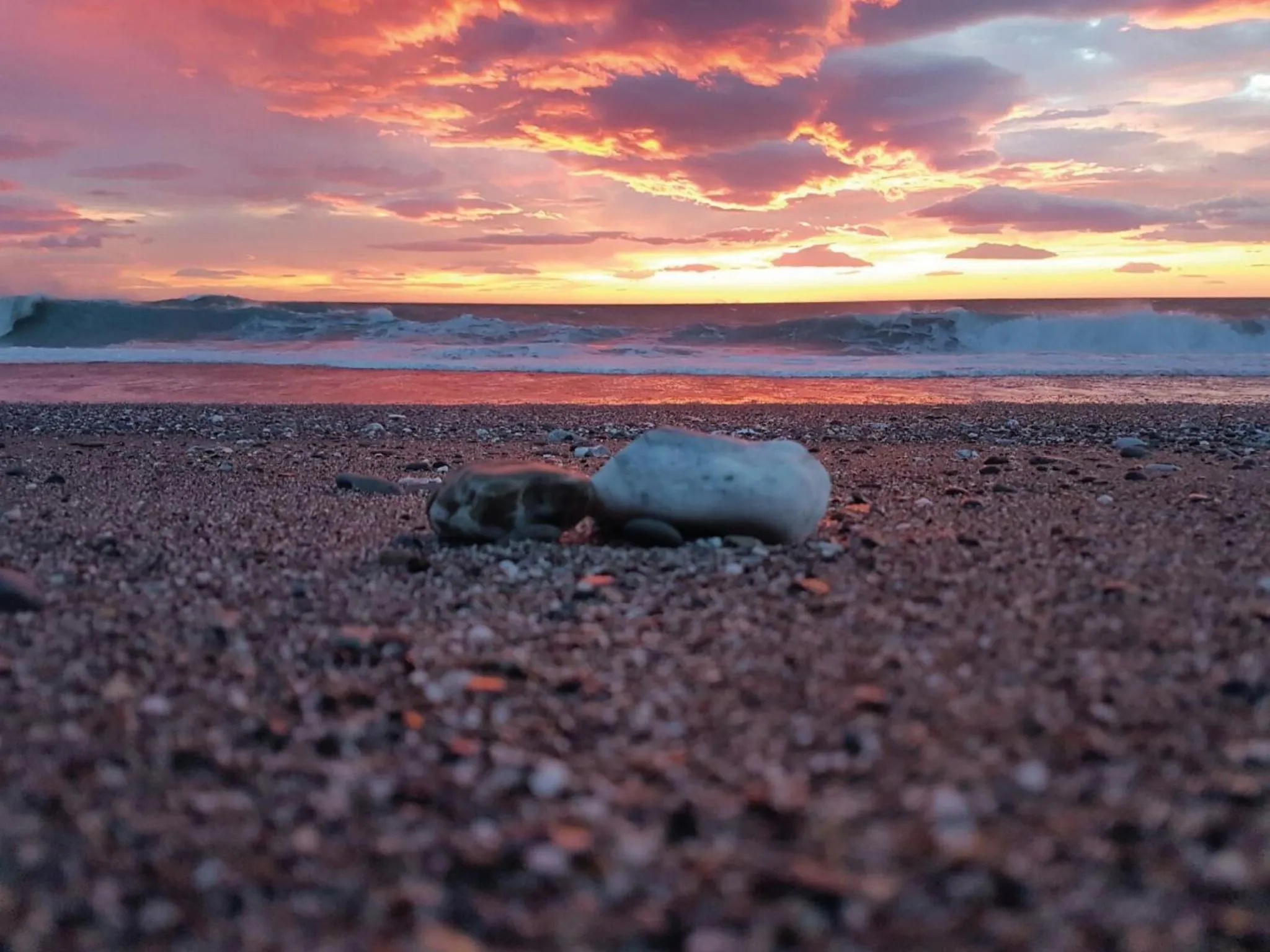 Summer in Tempio degli Dei
