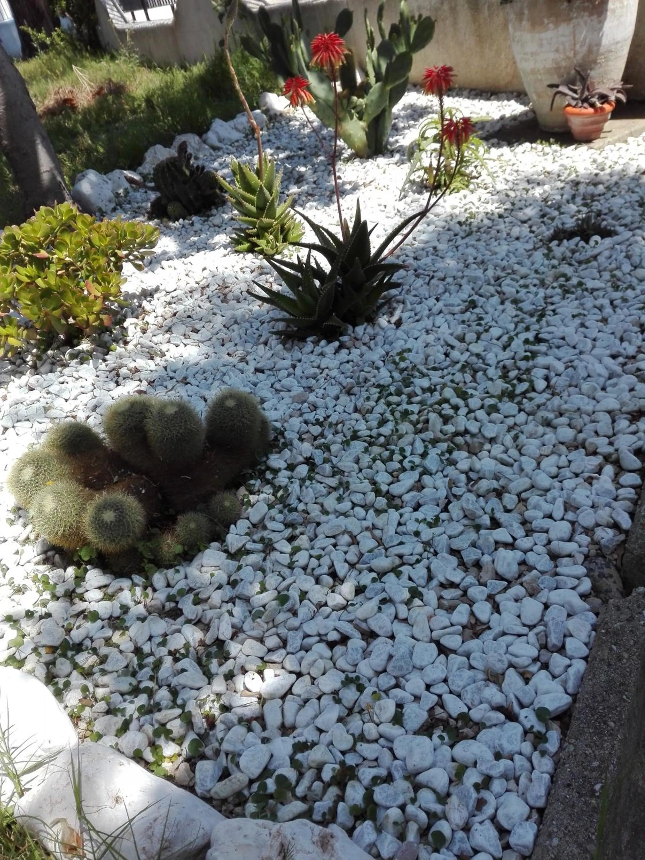 Property building in I Sogni di Morfeo