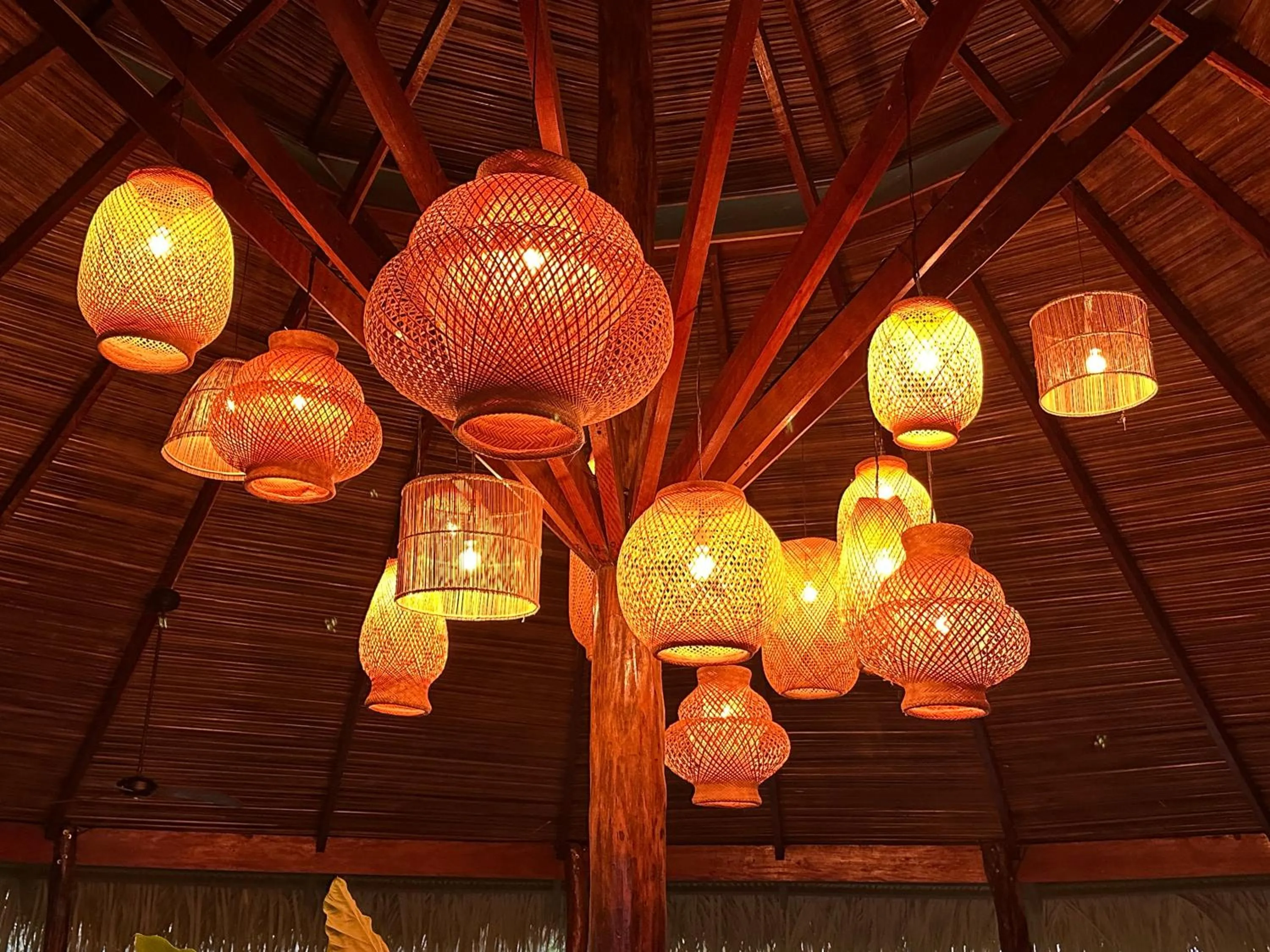 Lobby or reception in Juma Amazon Lodge