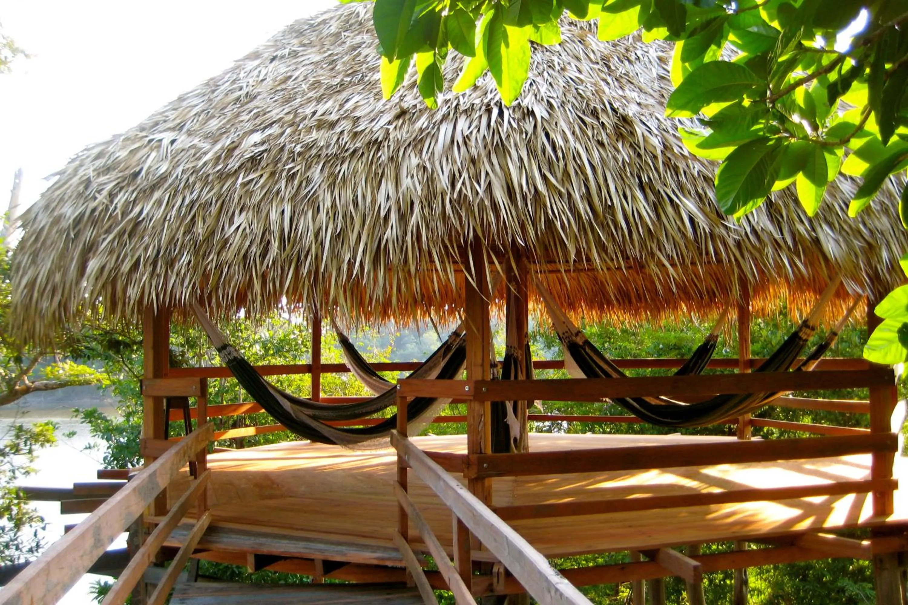 Area and facilities in Juma Amazon Lodge