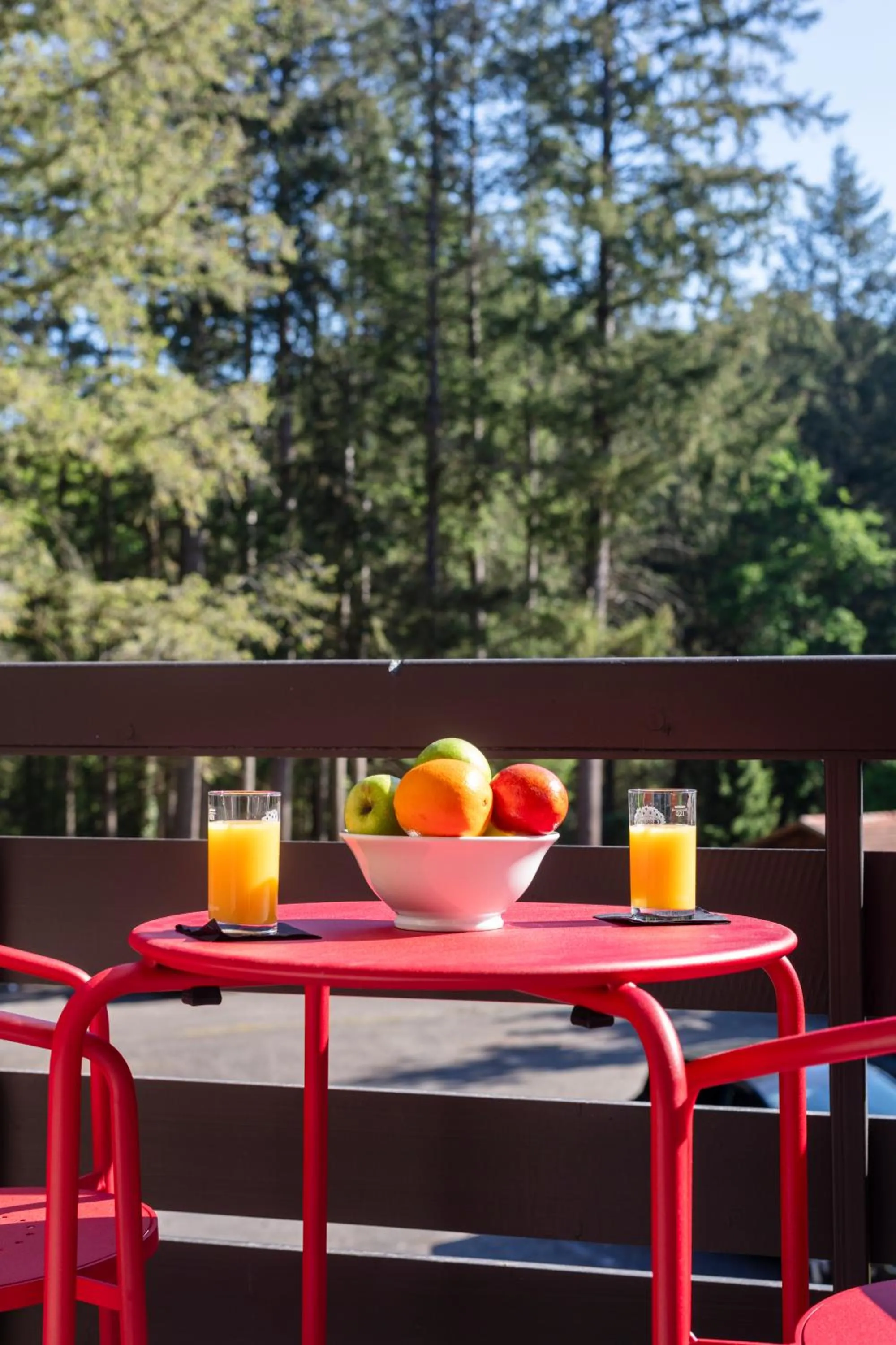 Balcony/Terrace in Hôtel Restaurant La Vallée Noble, proche Eguisheim Colmar