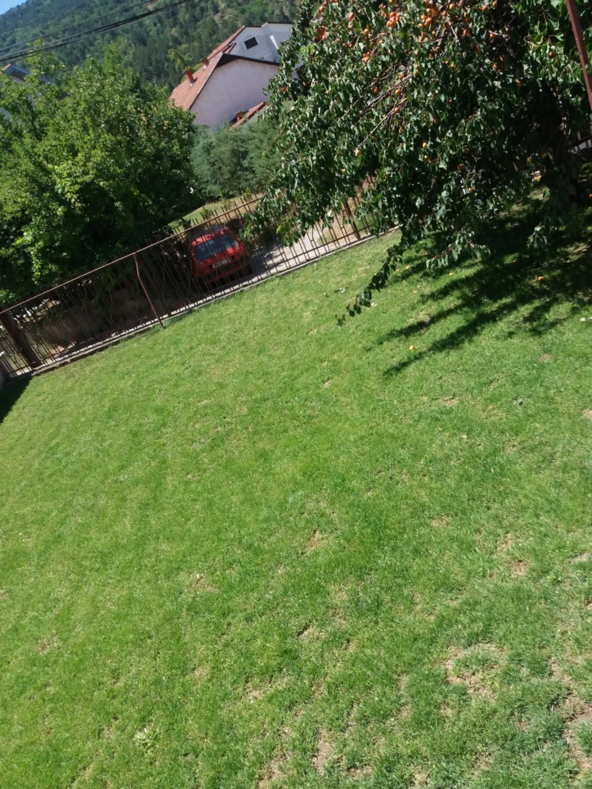 Garden view in Apartments Grande House