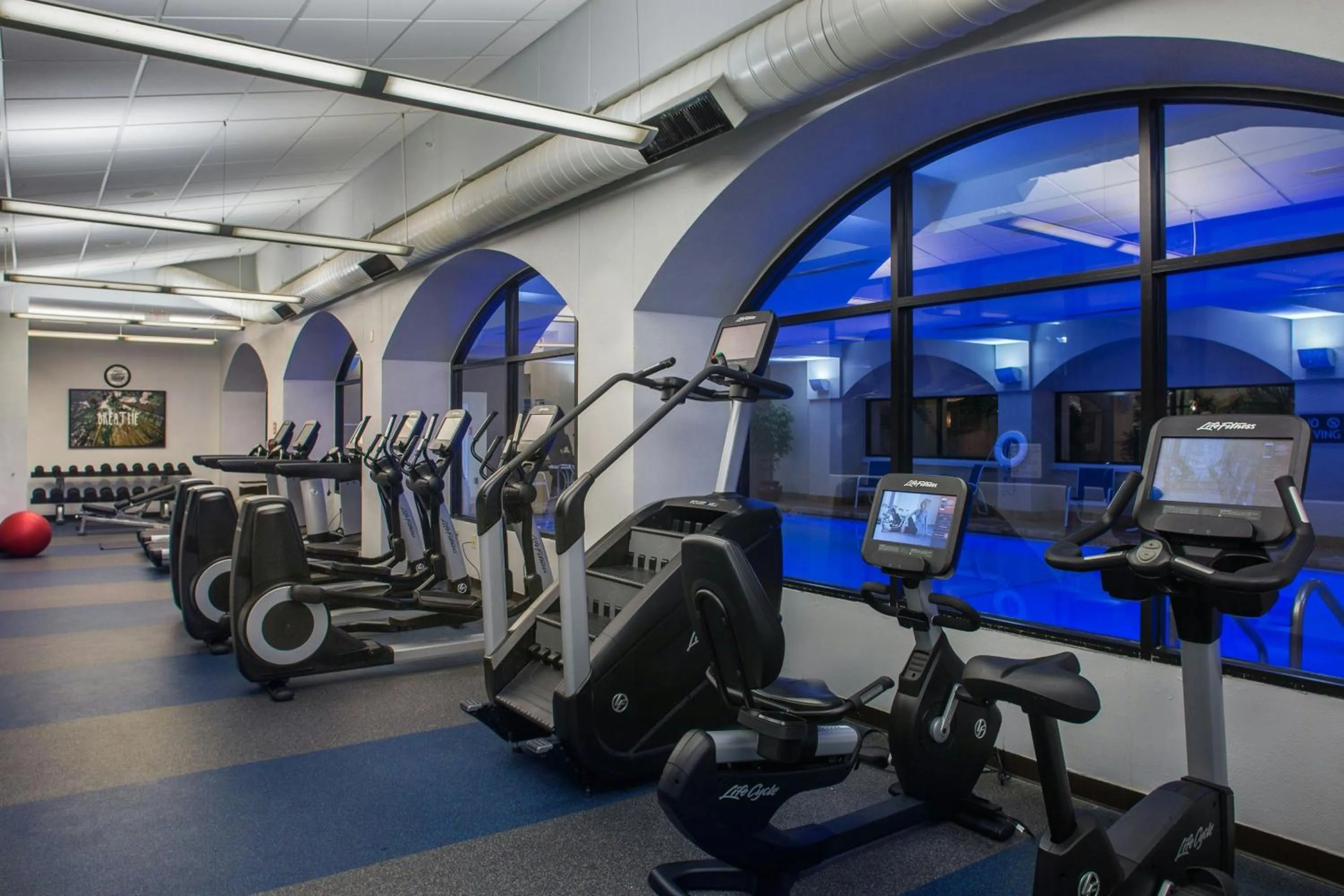Fitness centre/facilities in Four Points by Sheraton Suites Tampa Airport Westshore