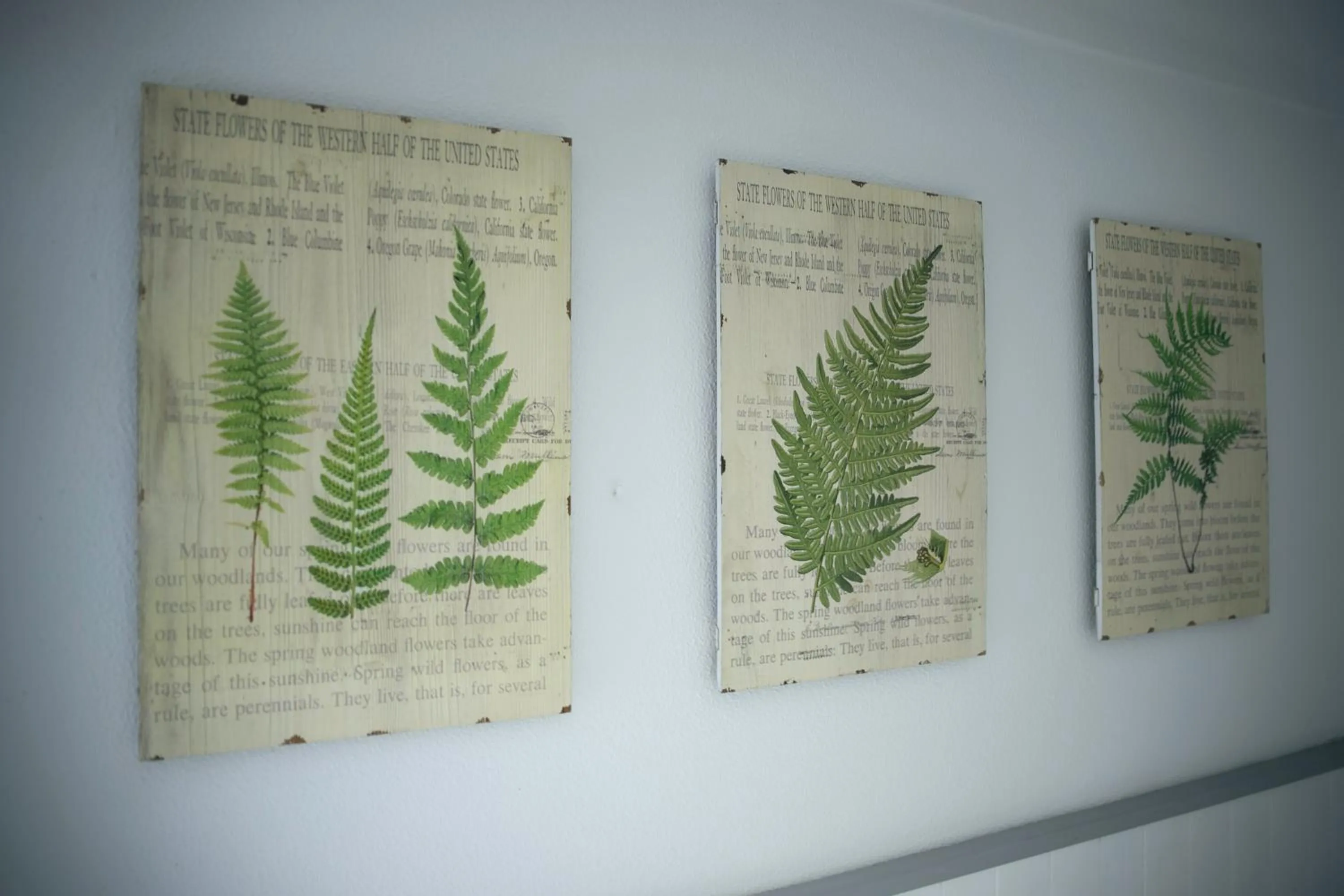 Decorative detail in Vinnus Guesthouse