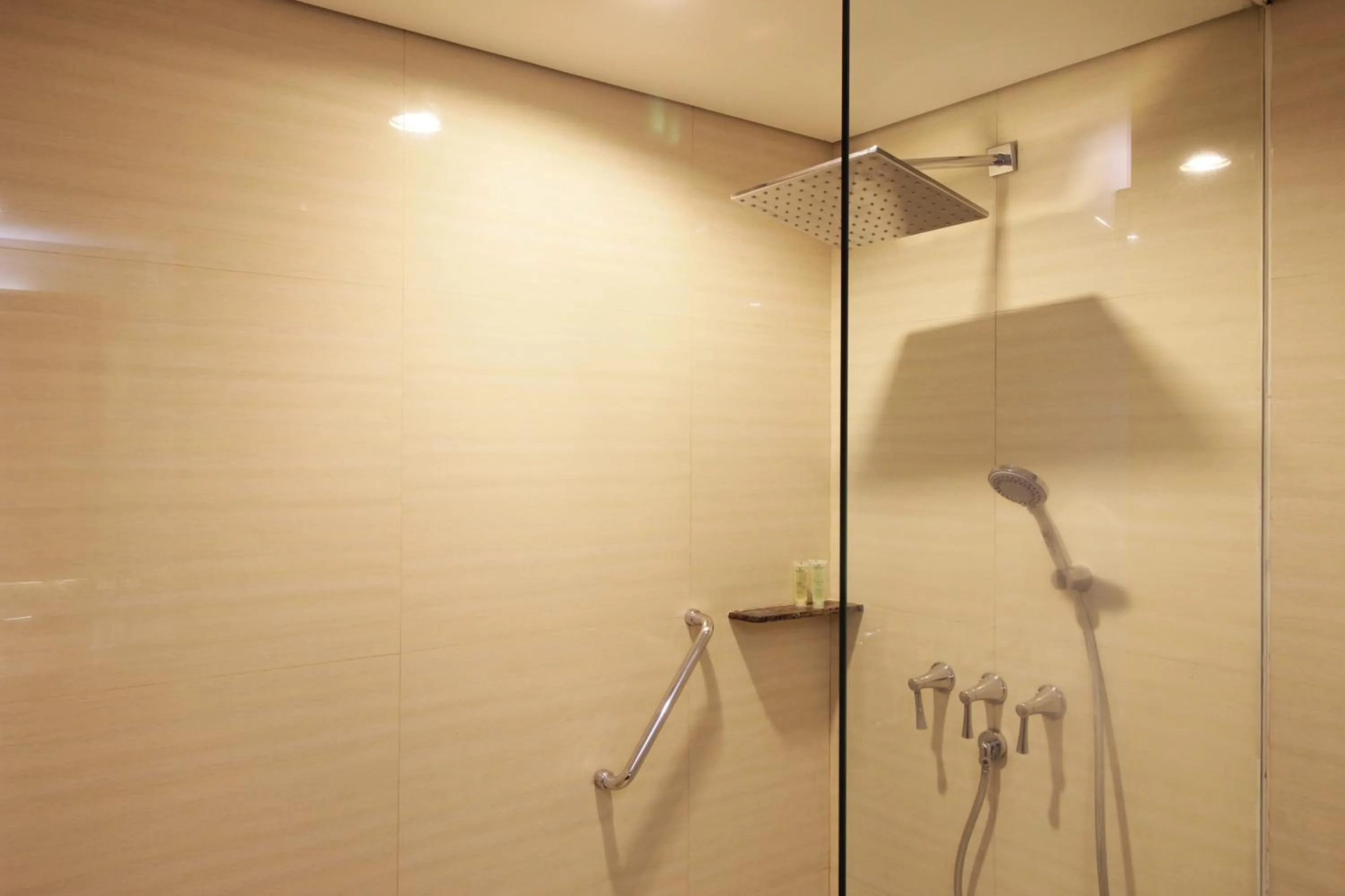 Shower in Hotel Santika Premiere Jogja