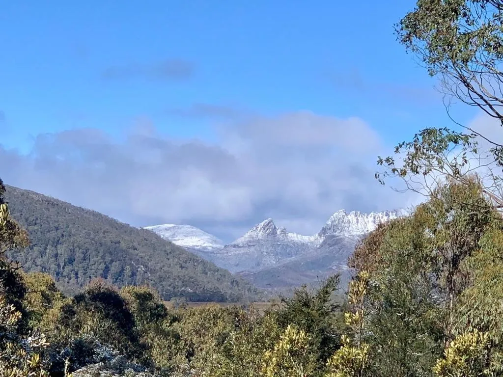 View (from property/room) in Cradle Highlander