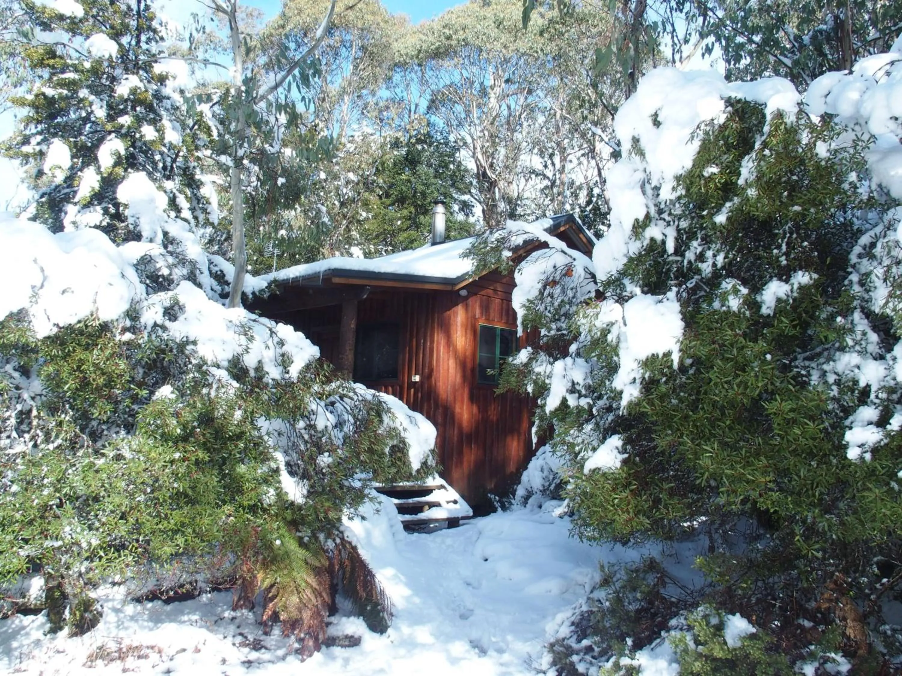 Winter in Cradle Highlander