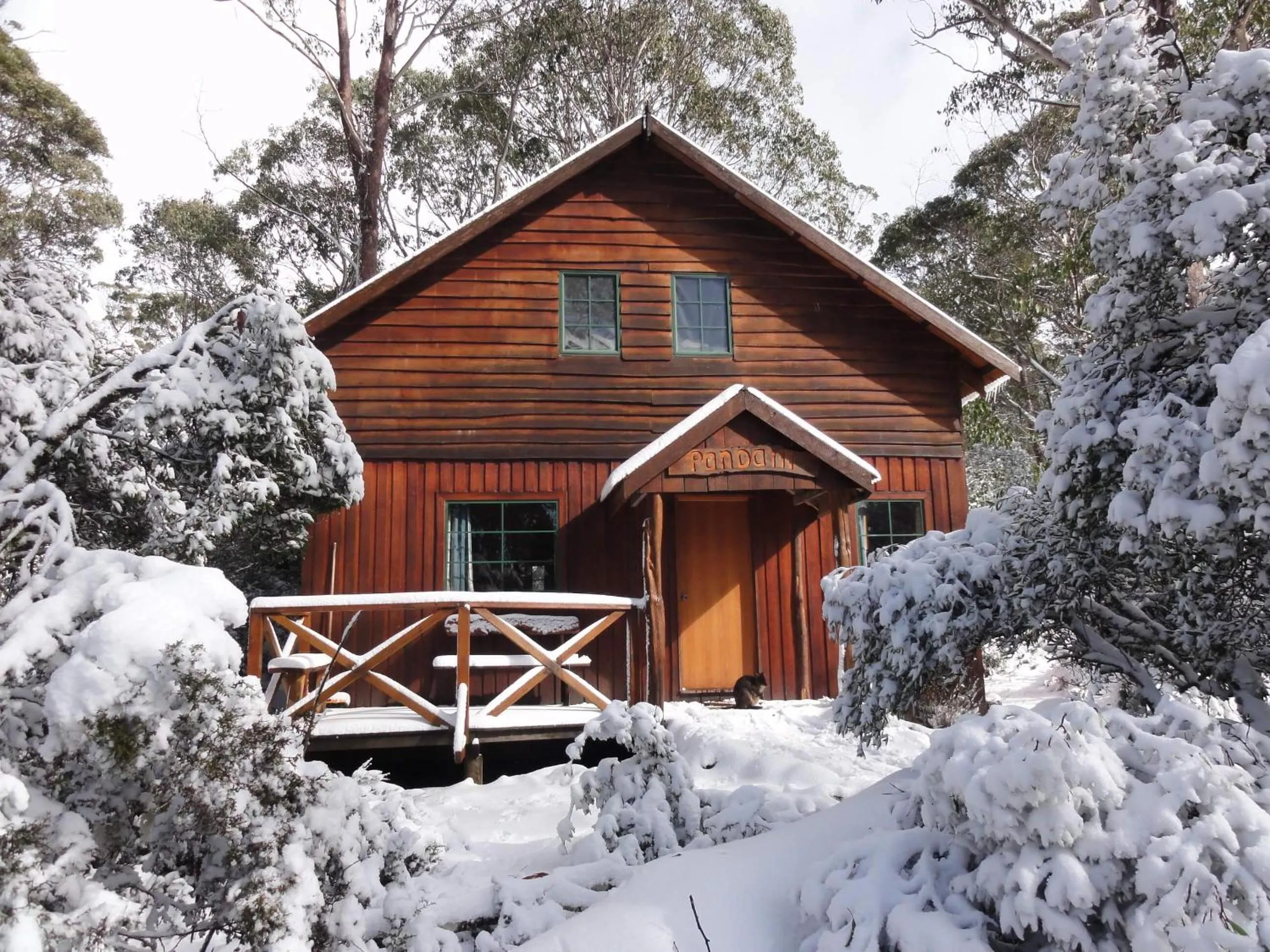 Property building in Cradle Highlander