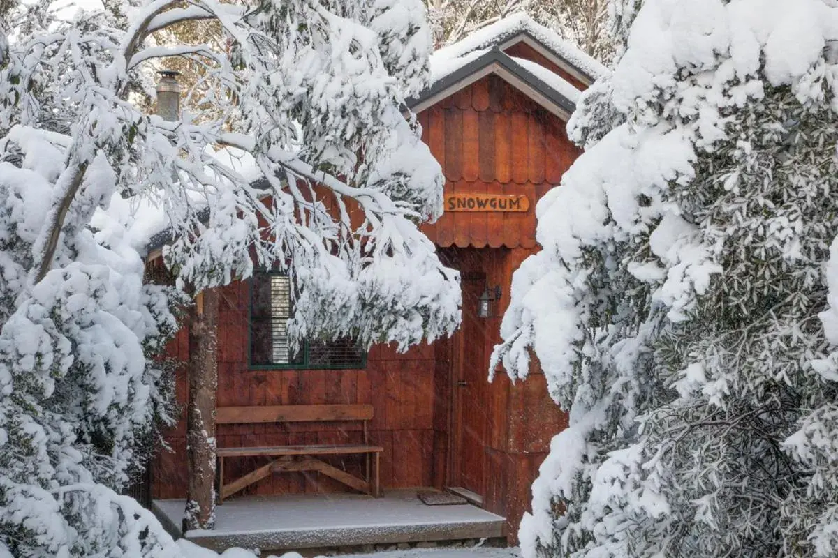 Forest View Two-Bedroom Cabin in Cradle Highlander Forest View Two-Bedroom Cabin in Cradle Highlander