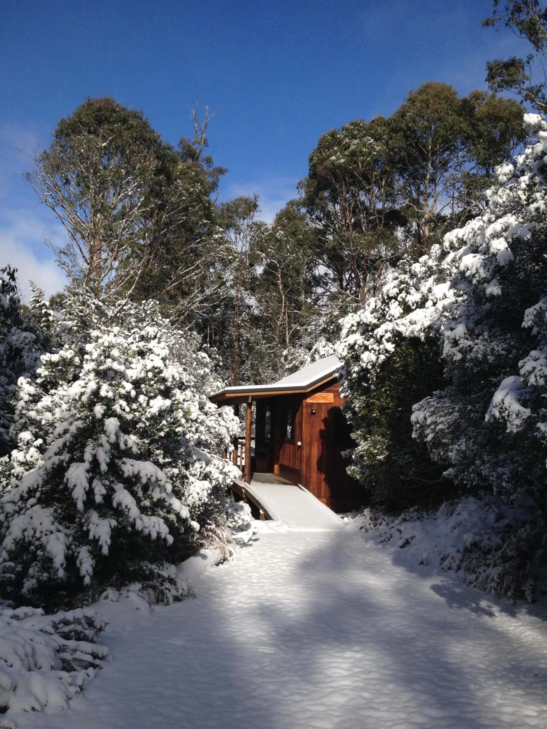 Winter in Cradle Highlander