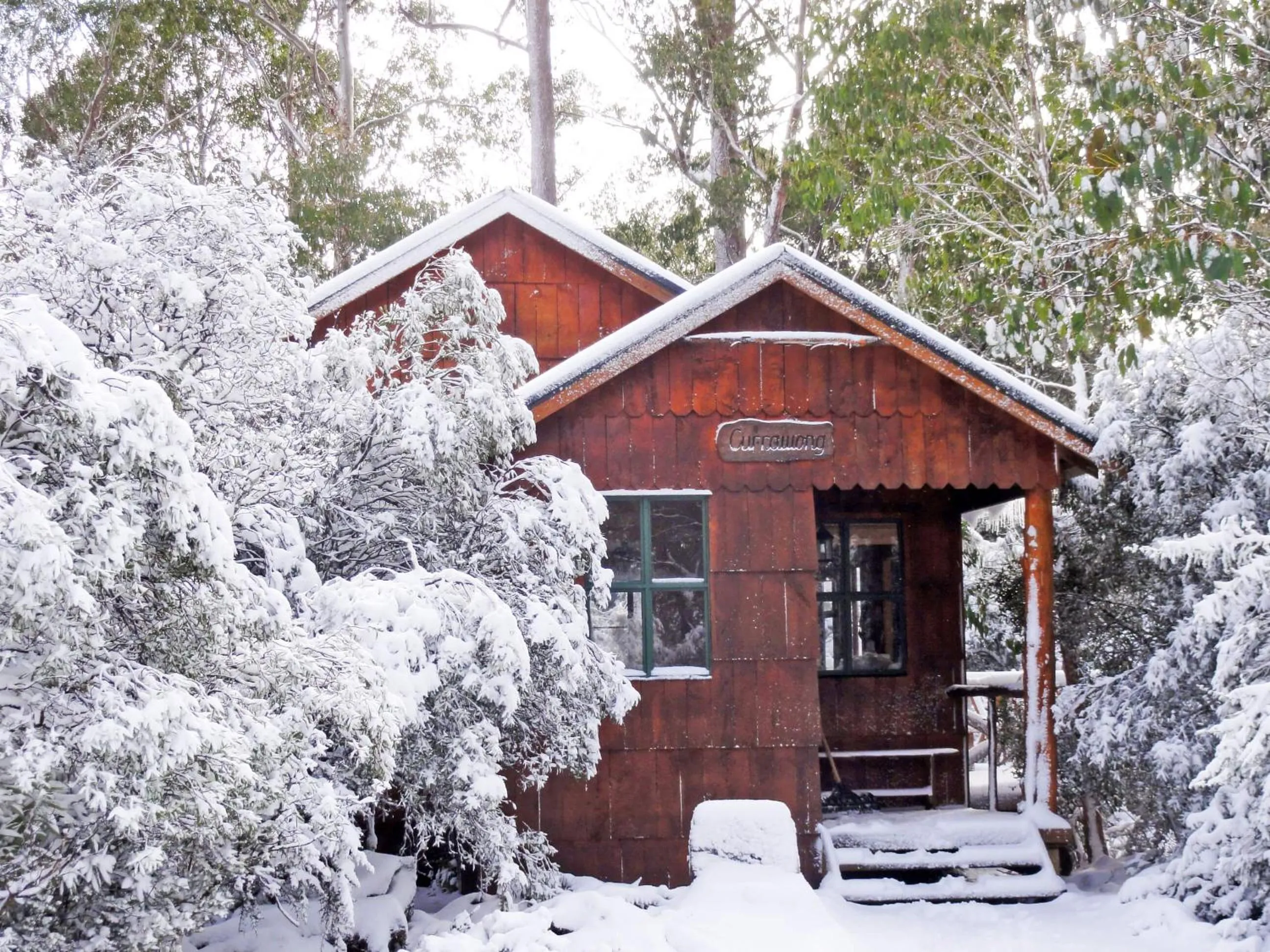 Winter in Cradle Highlander