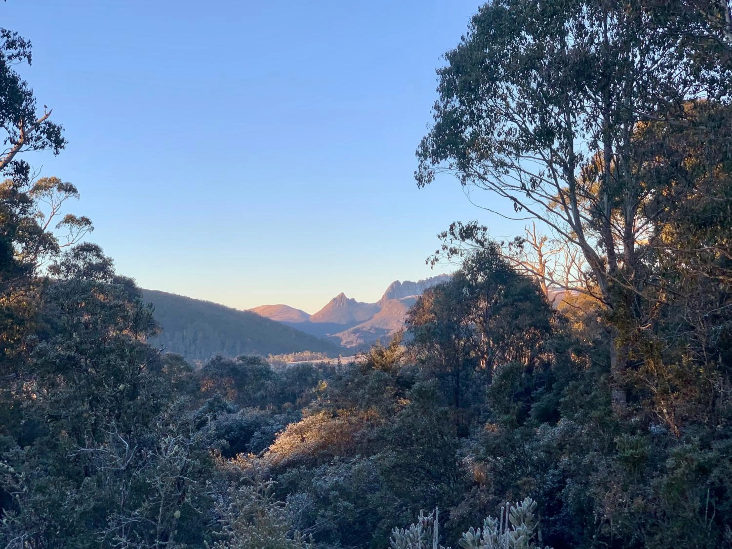 Natural landscape in Cradle Highlander