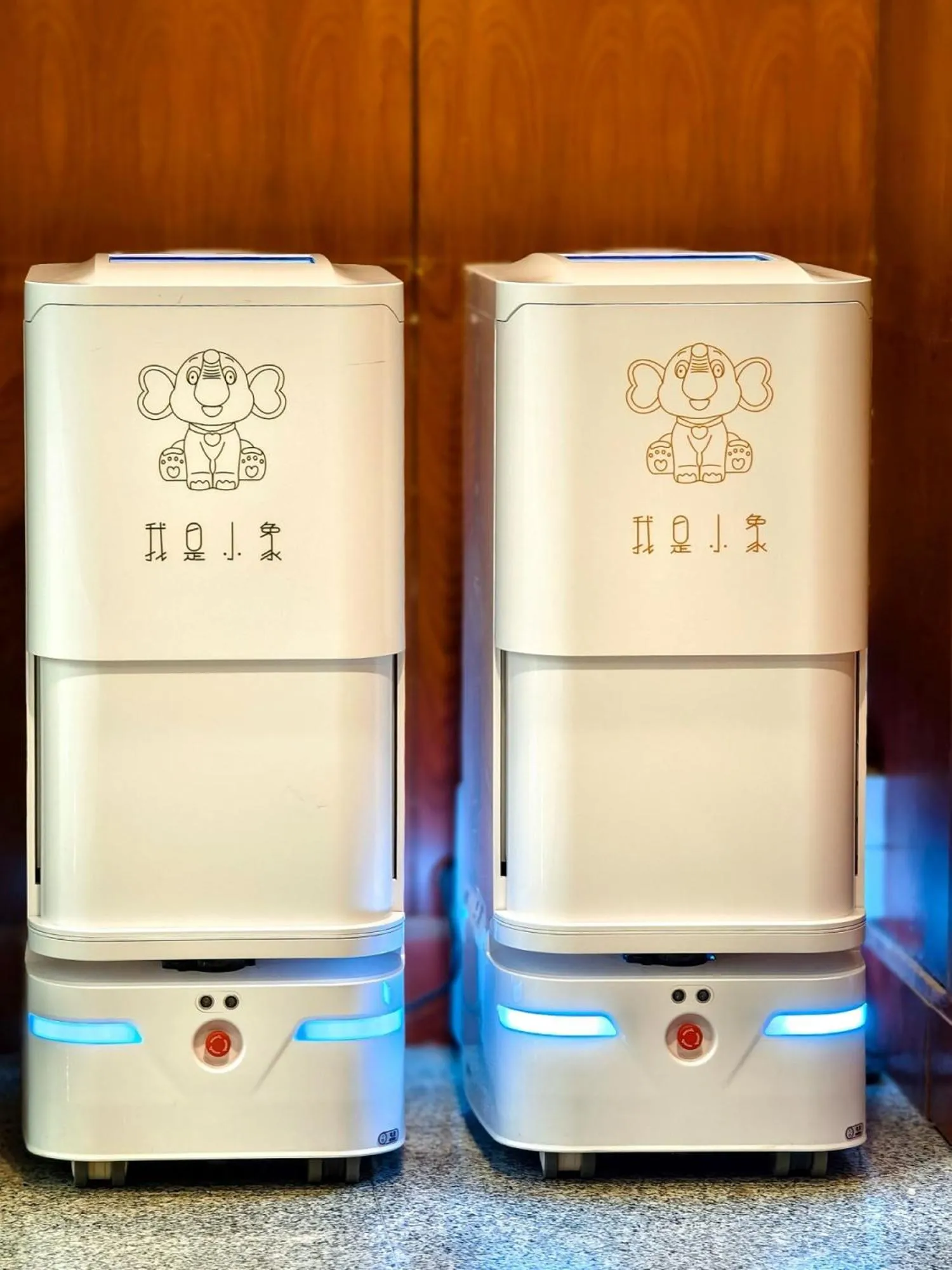 Lobby or reception in Xi'an Dajing Castle Hotel Bell Tower & YONGNING Gate