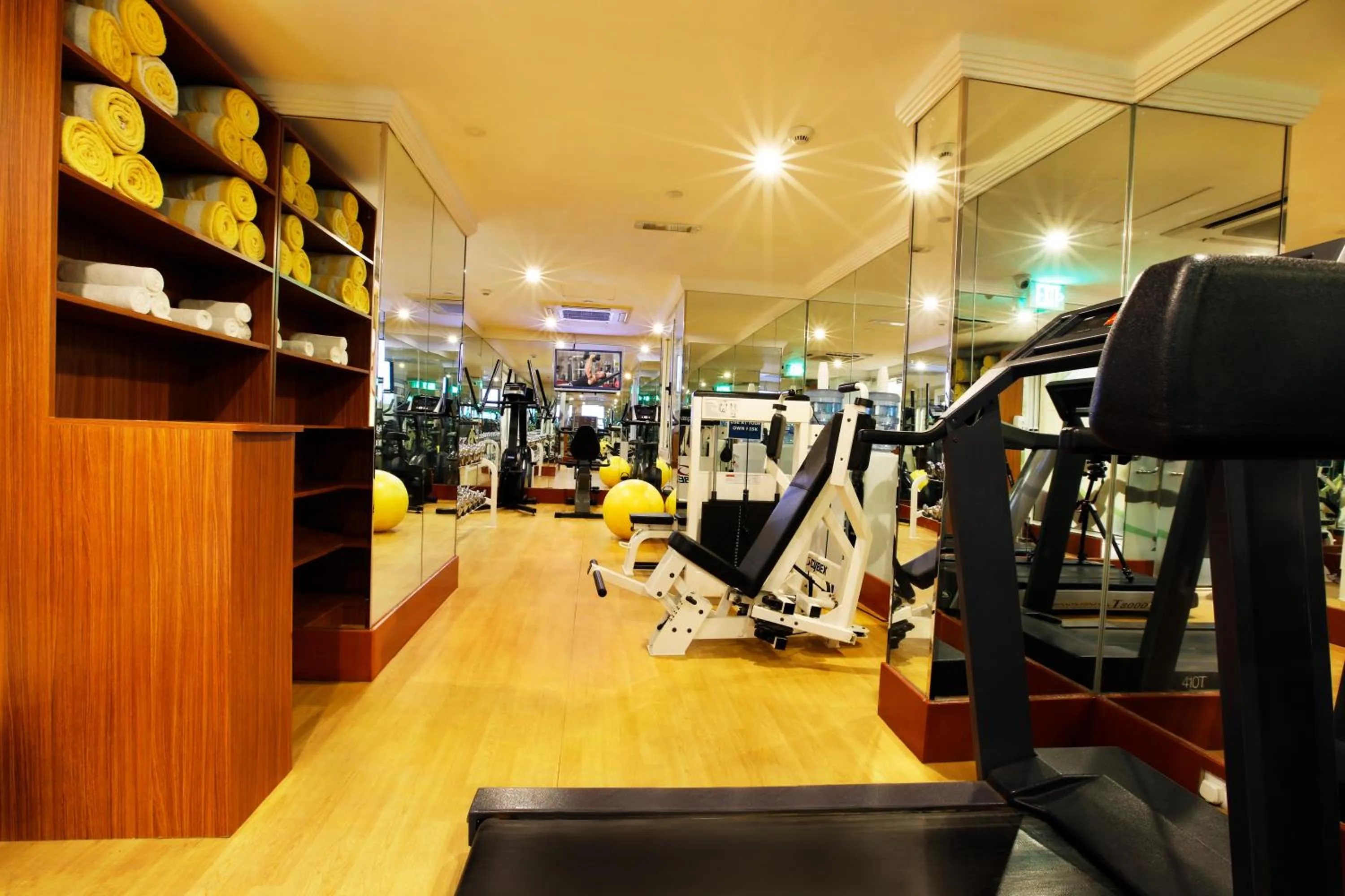 Fitness centre/facilities in Vision Imperial Hotel Formerly Excelsior Hotel Downtown
