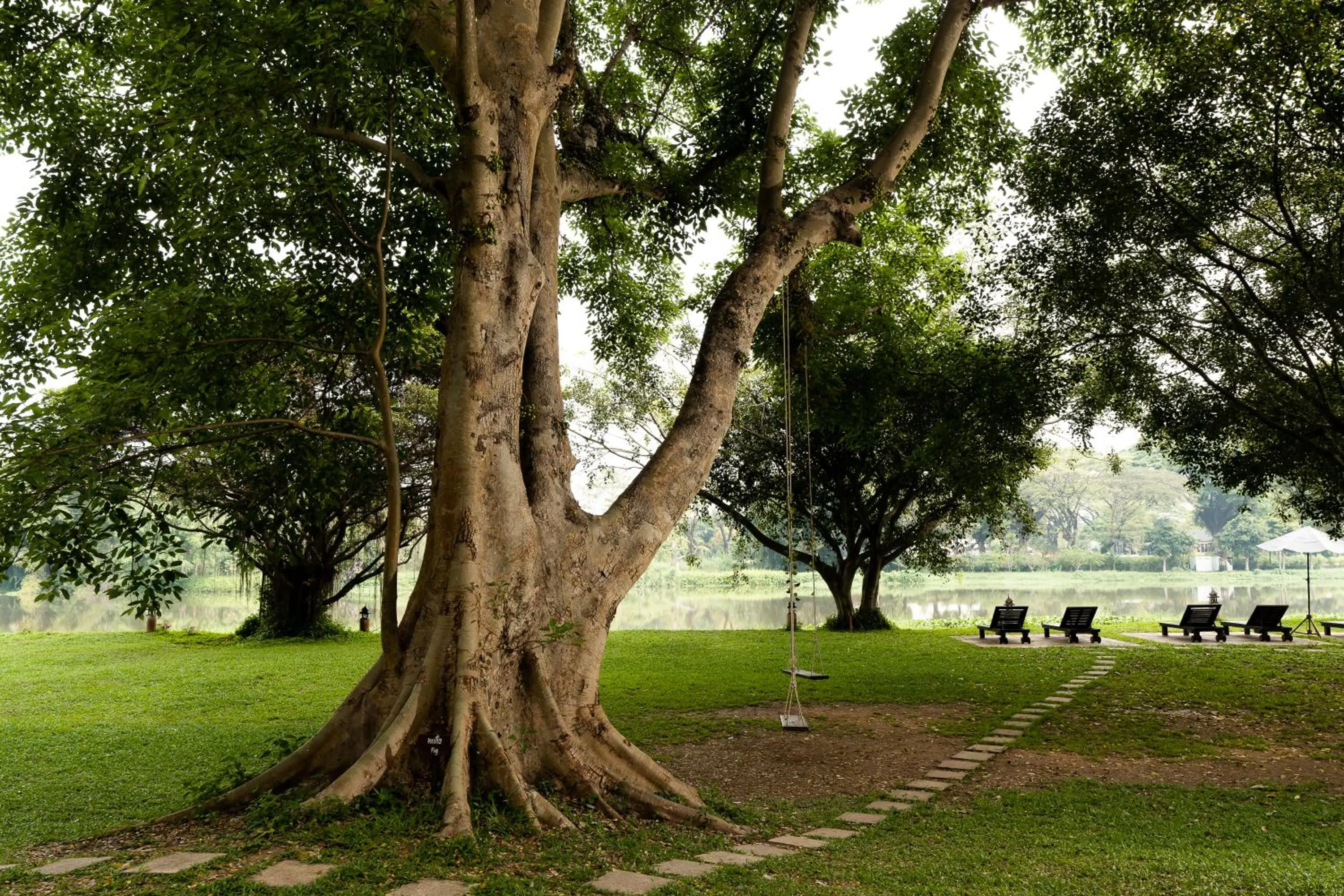 Garden in The Legend Chiang Rai Boutique River Resort & Spa