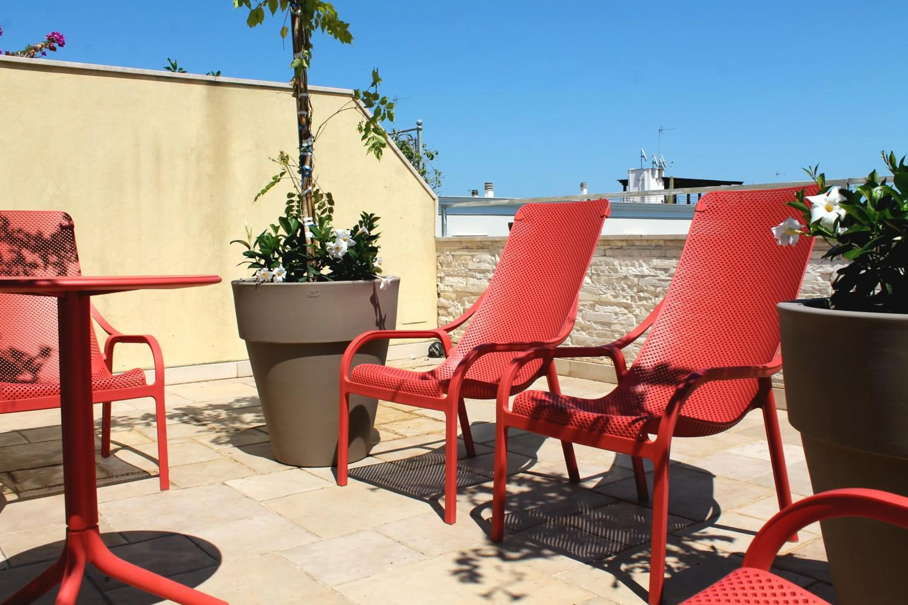 OroVerde Rooms & Suite nel cuore di Trani