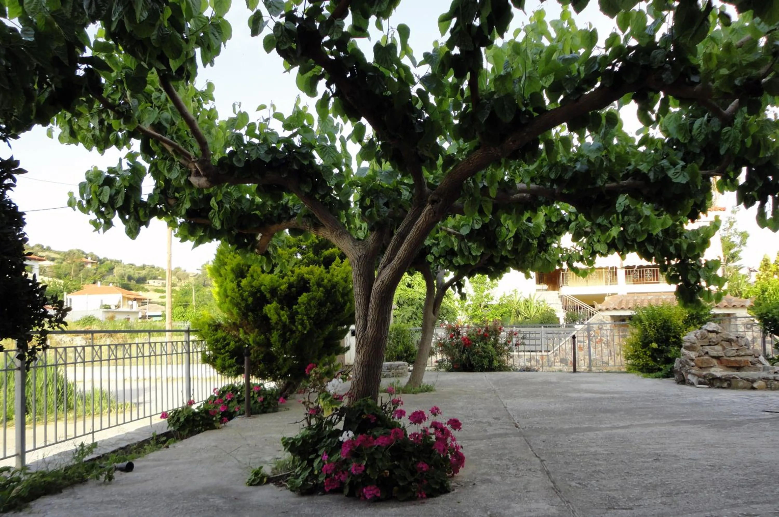 Patio in Petries Studios