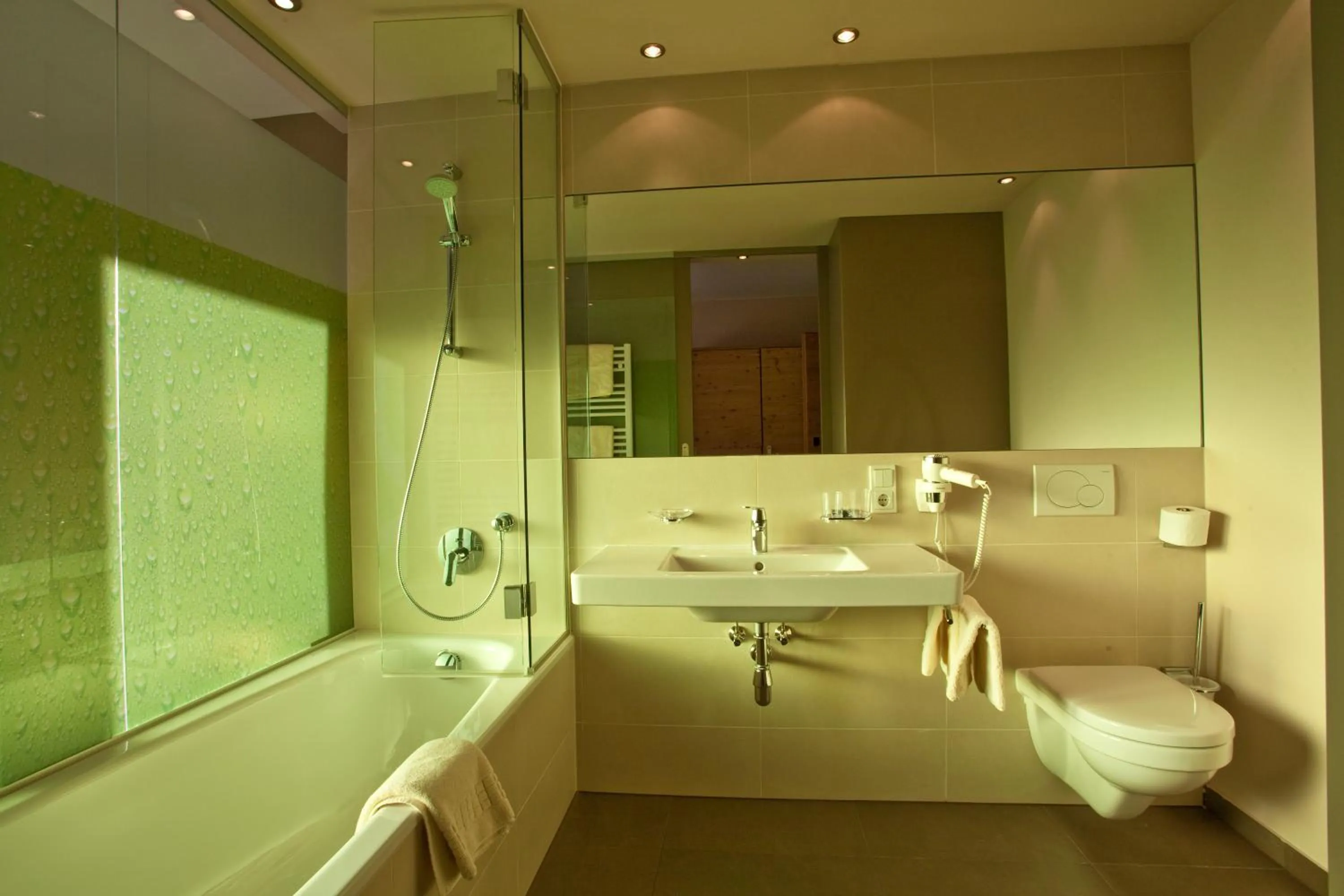 Toilet in Hotel Bäckelar Wirt Superior