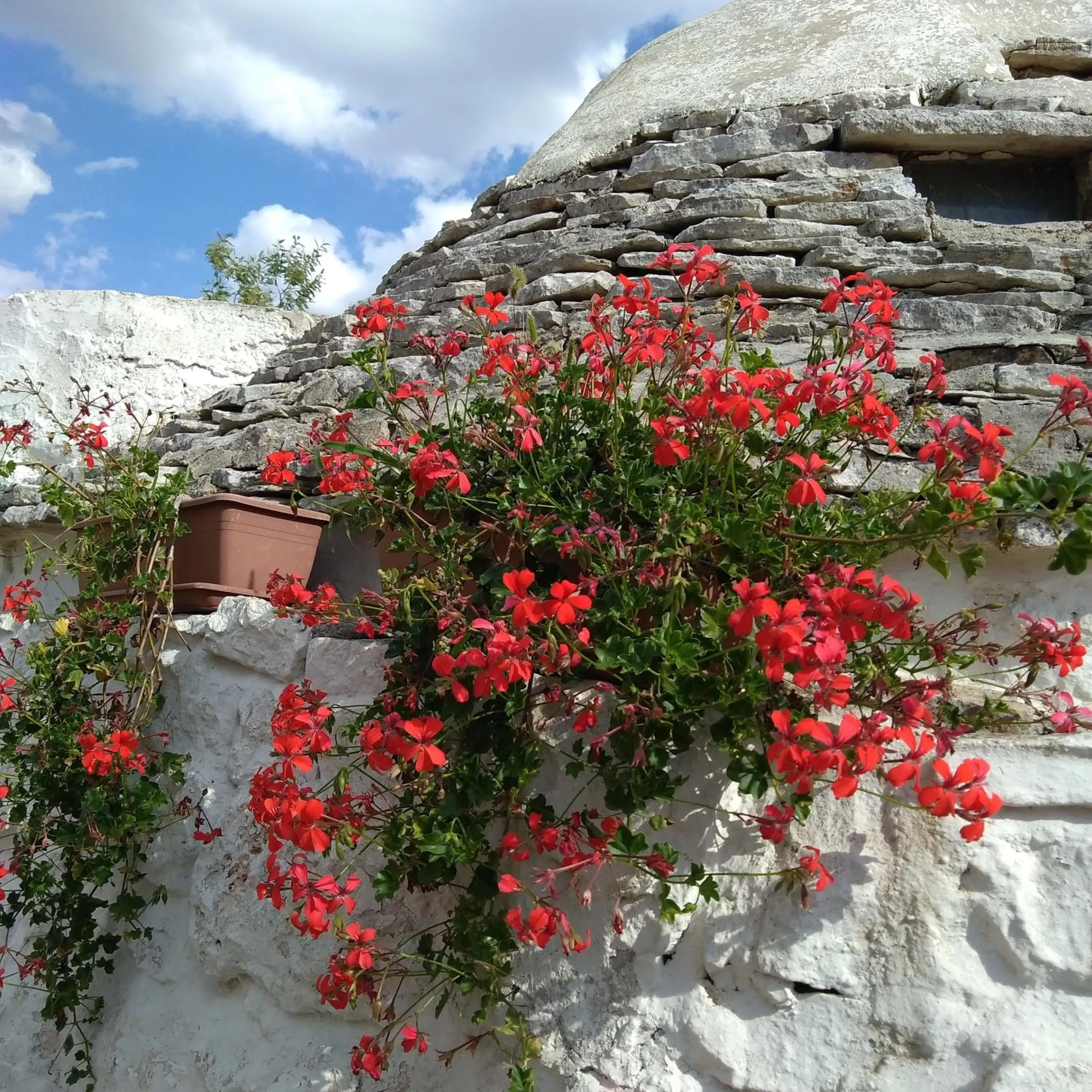 Bird's eye view in Trulli la casa di Rosa