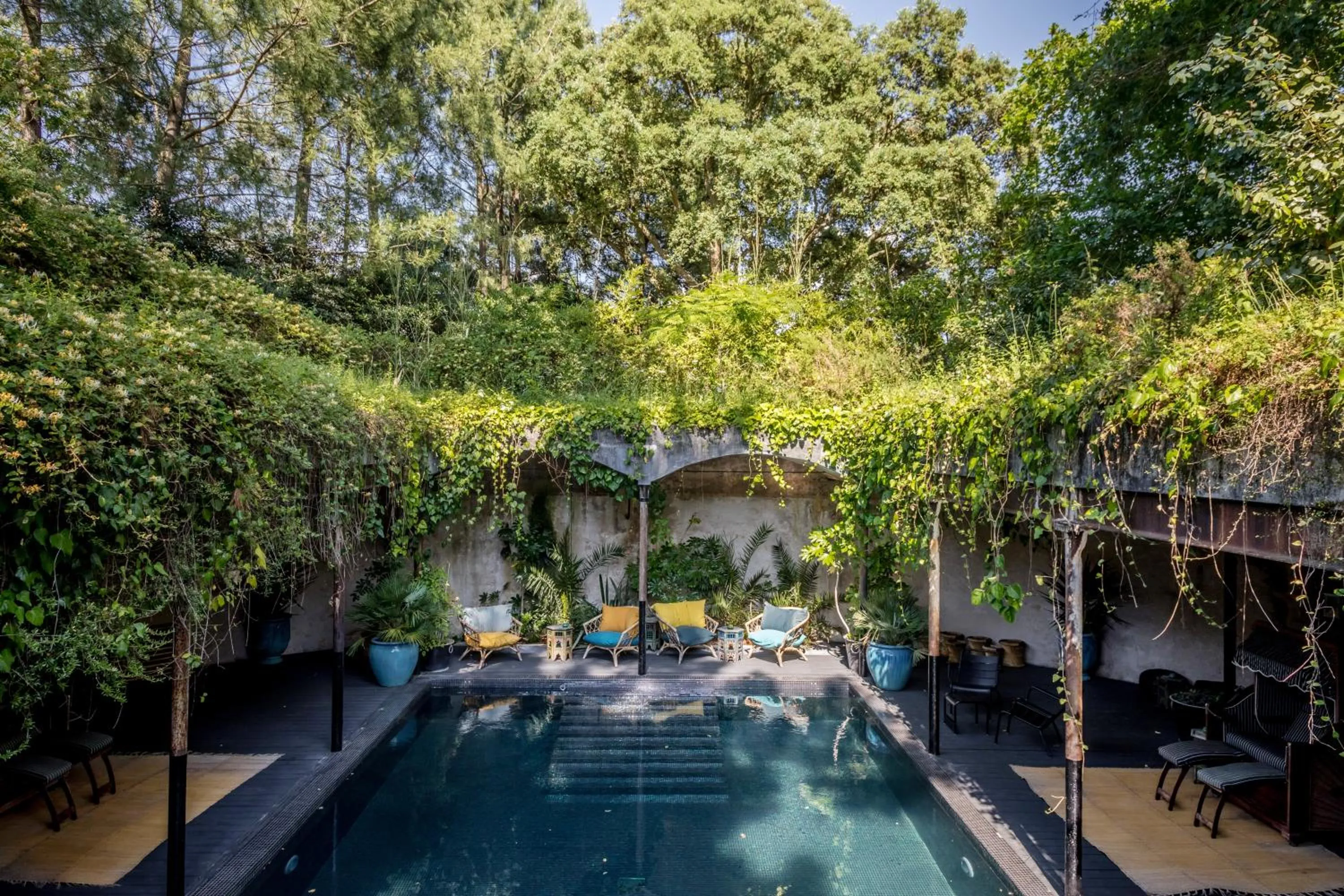 Garden view in Hôtel Ville d'Hiver