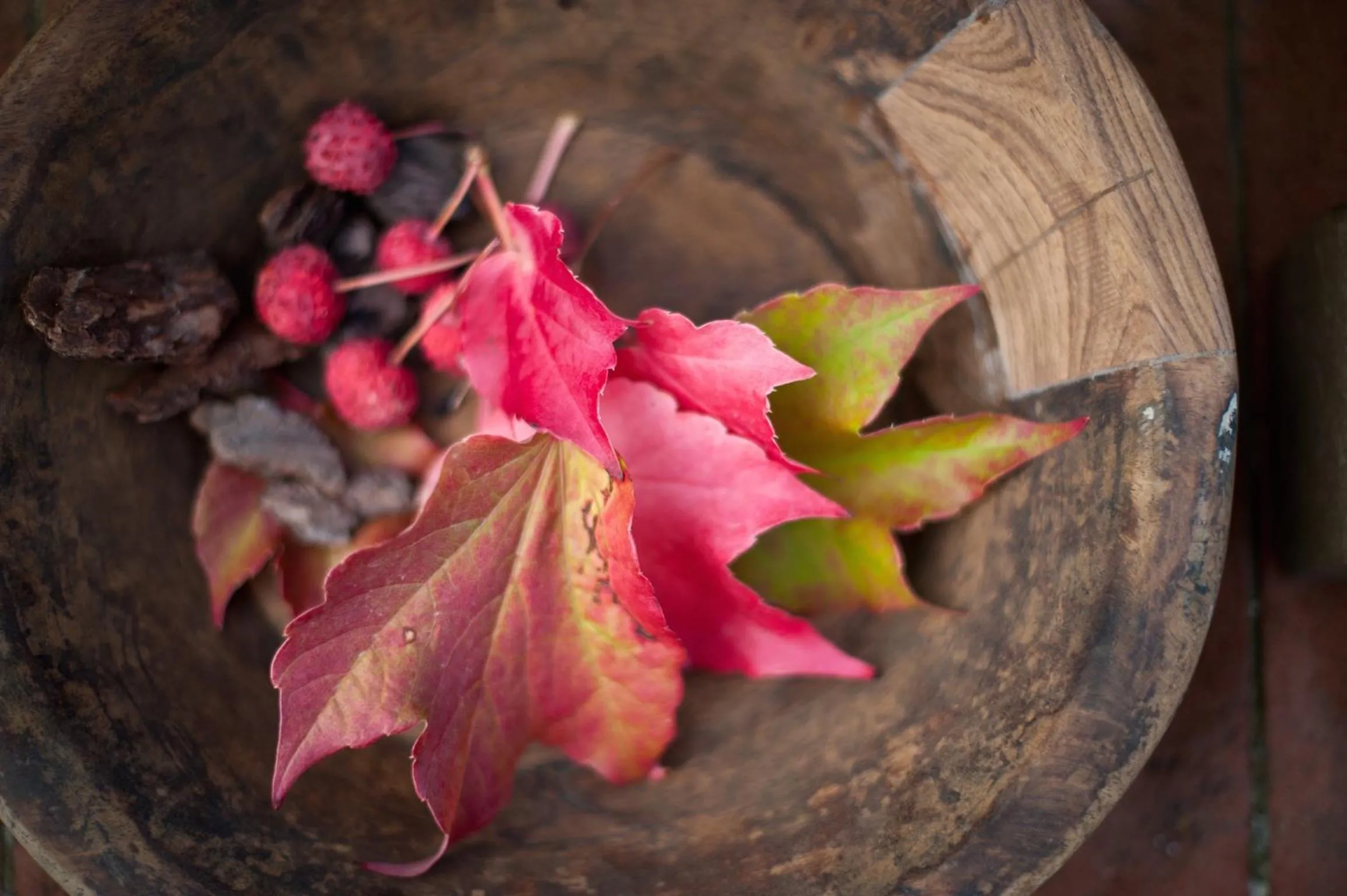 Decorative detail in Locanda Le Piazze