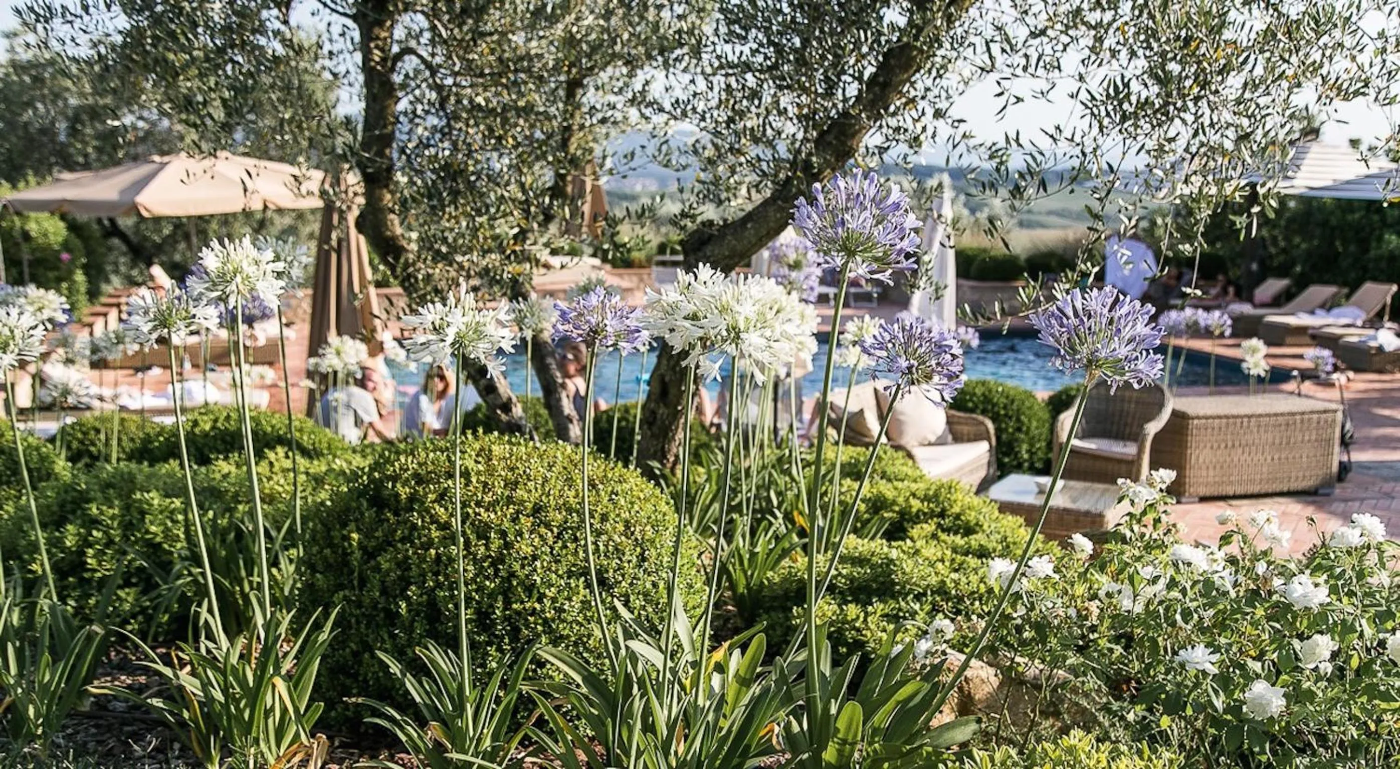 Pool view in Locanda Le Piazze