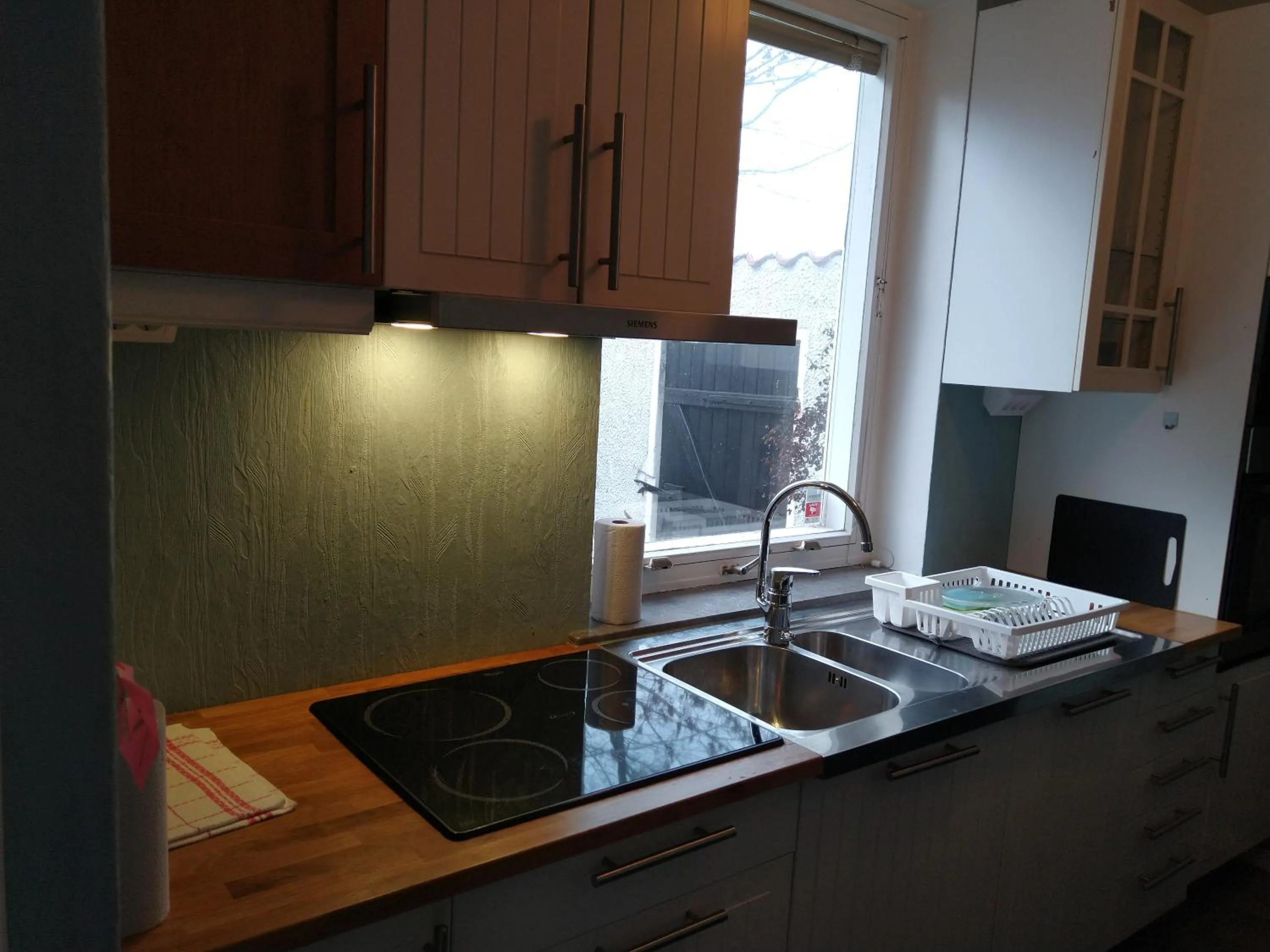 Kitchen or kitchenette in Villa Signedal Hostel