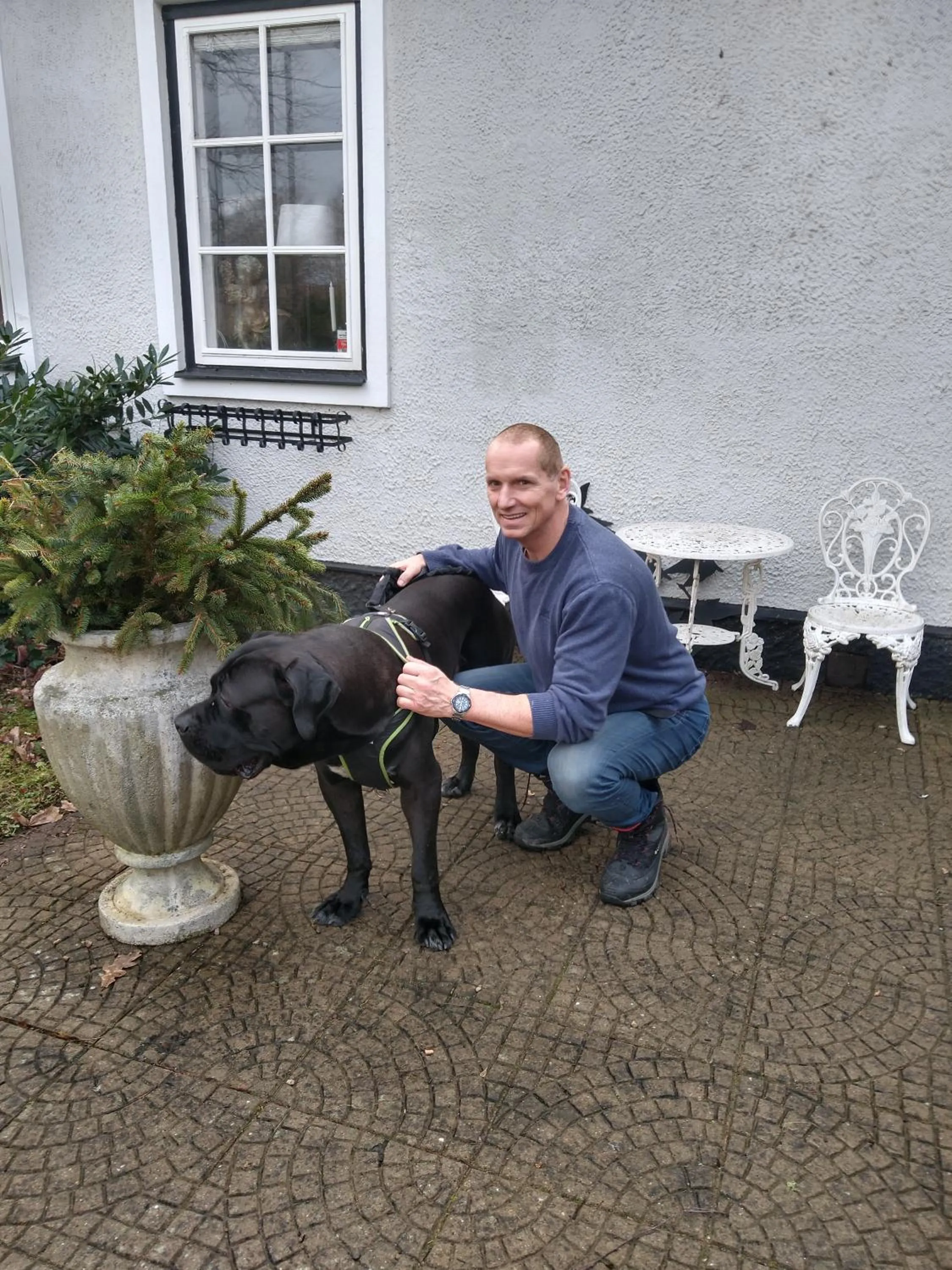 Pets in Villa Signedal Hostel