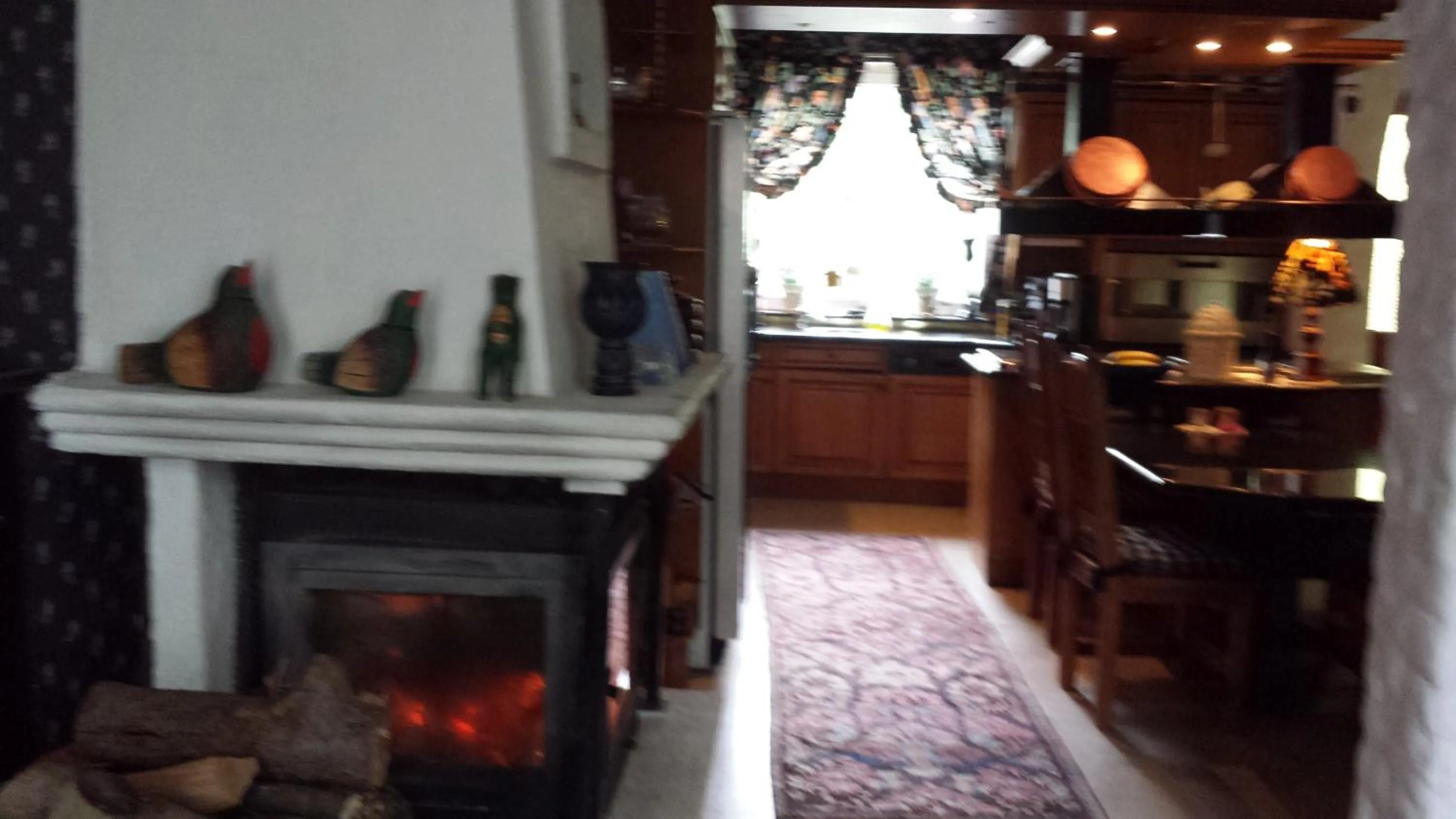 Kitchen or kitchenette in Villa Signedal Hostel