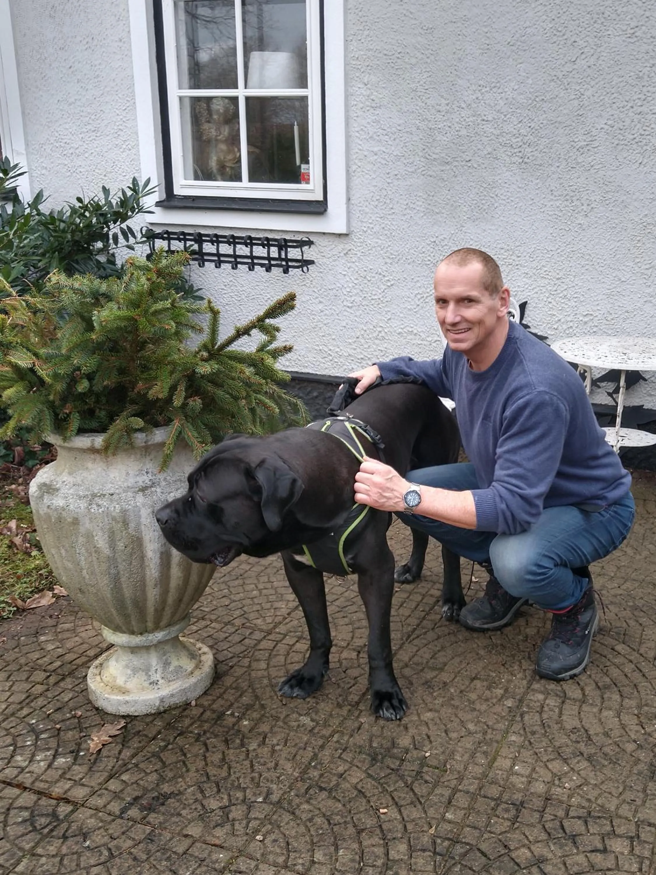 Pets in Villa Signedal Hostel