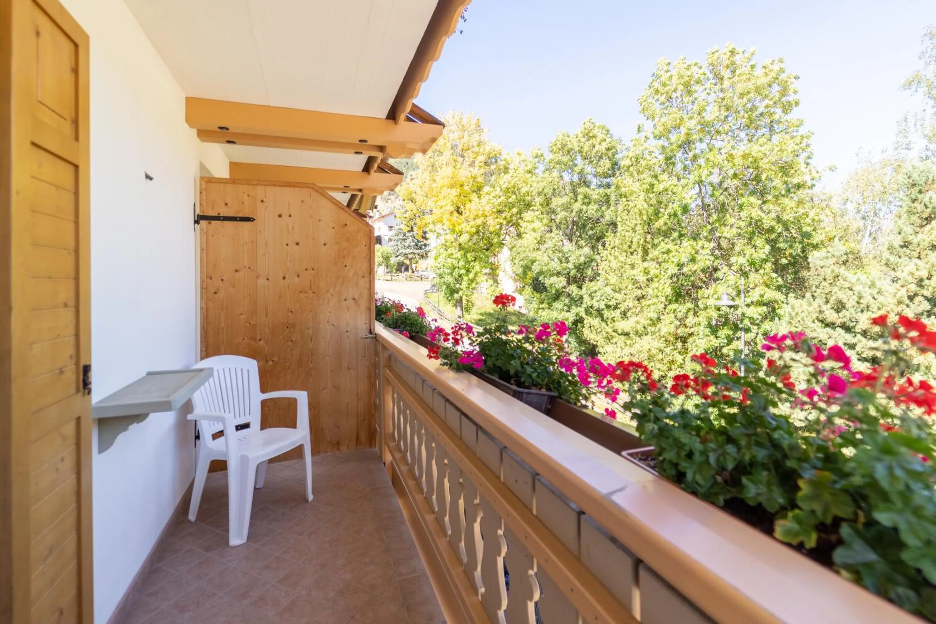 Balcony/Terrace in Berg Hotel Latemar Spitze