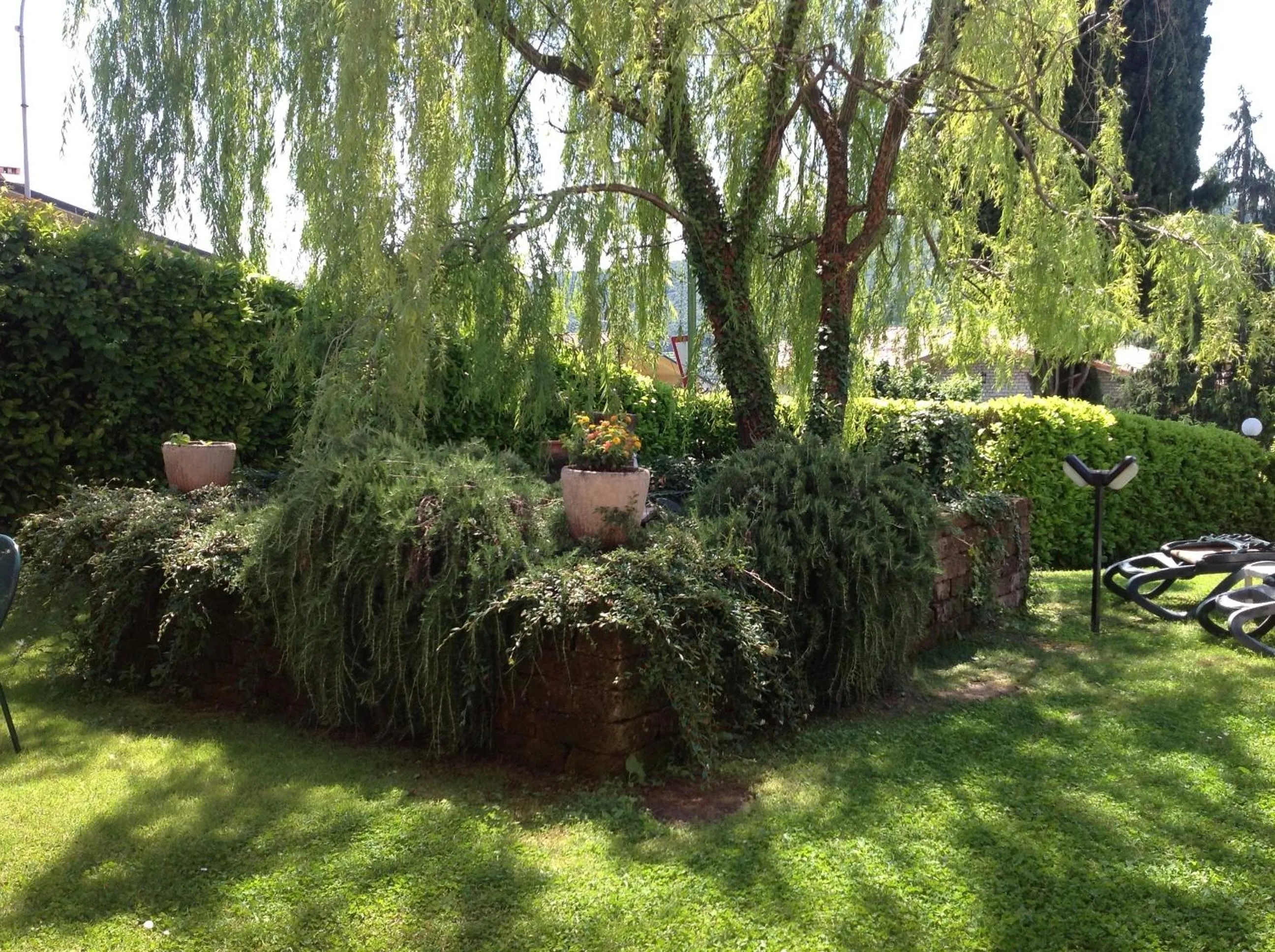 Garden in Hotel Villa Ca' Nova ***S