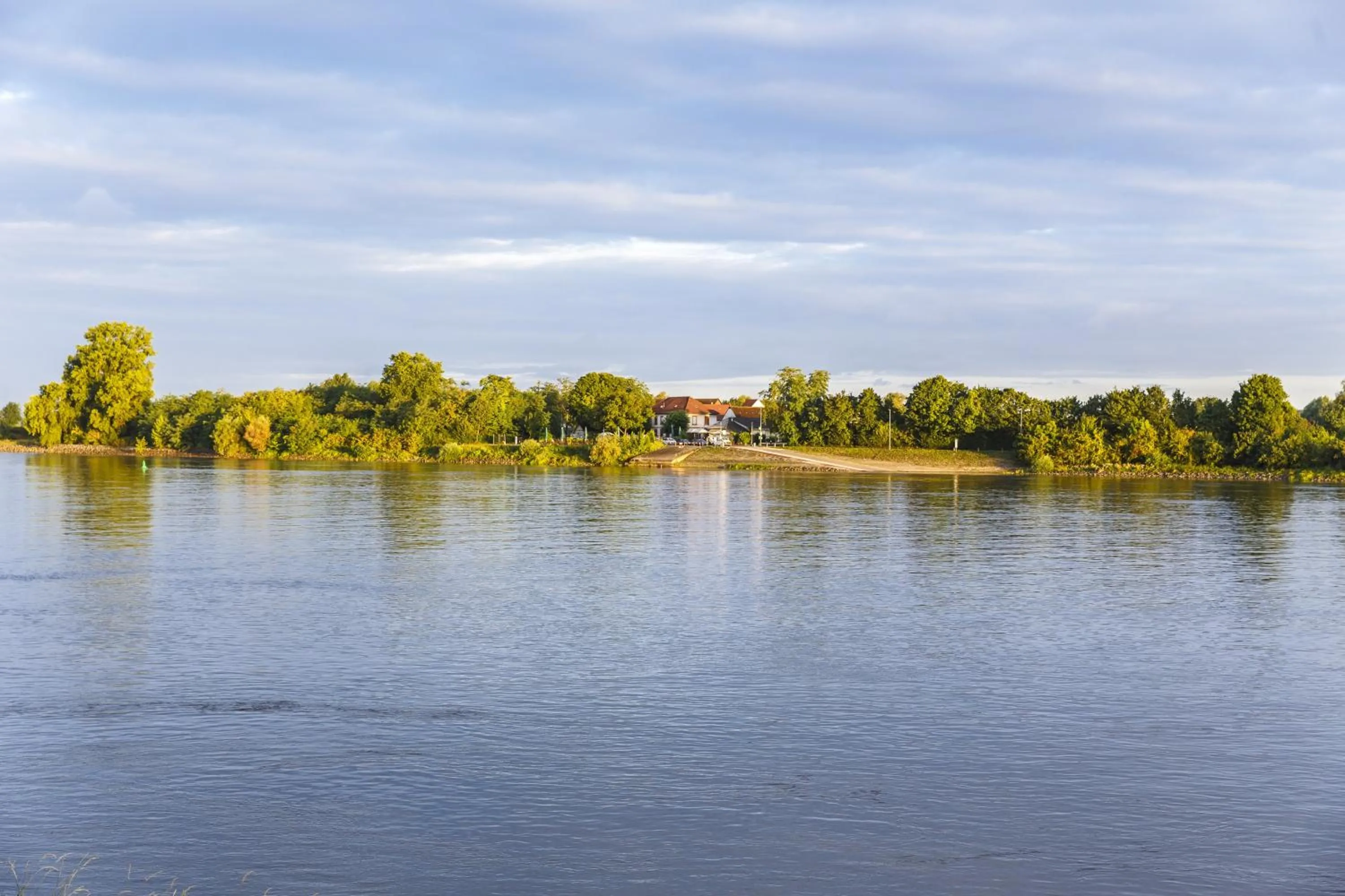 Natural landscape in Hotel Rheingold
