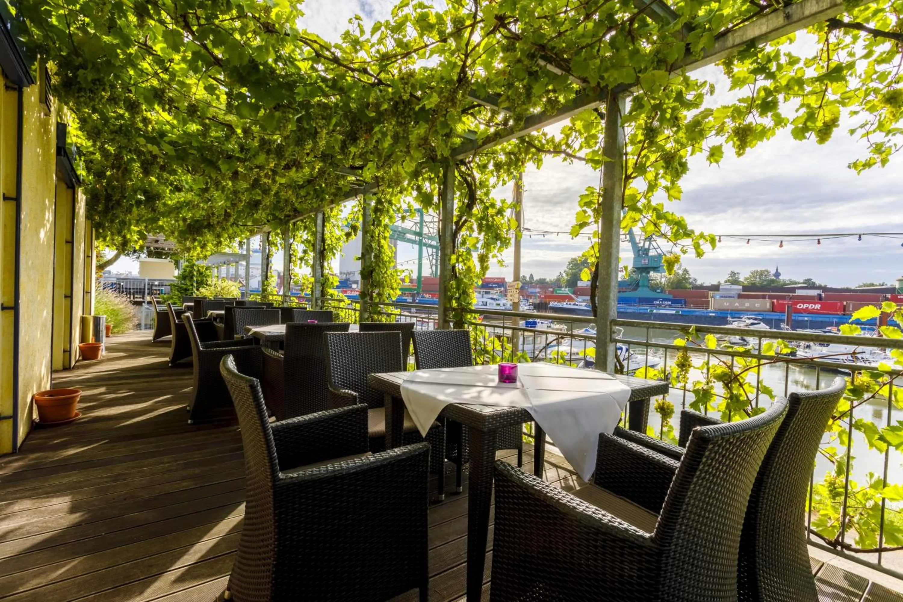 Patio in Hotel Rheingold