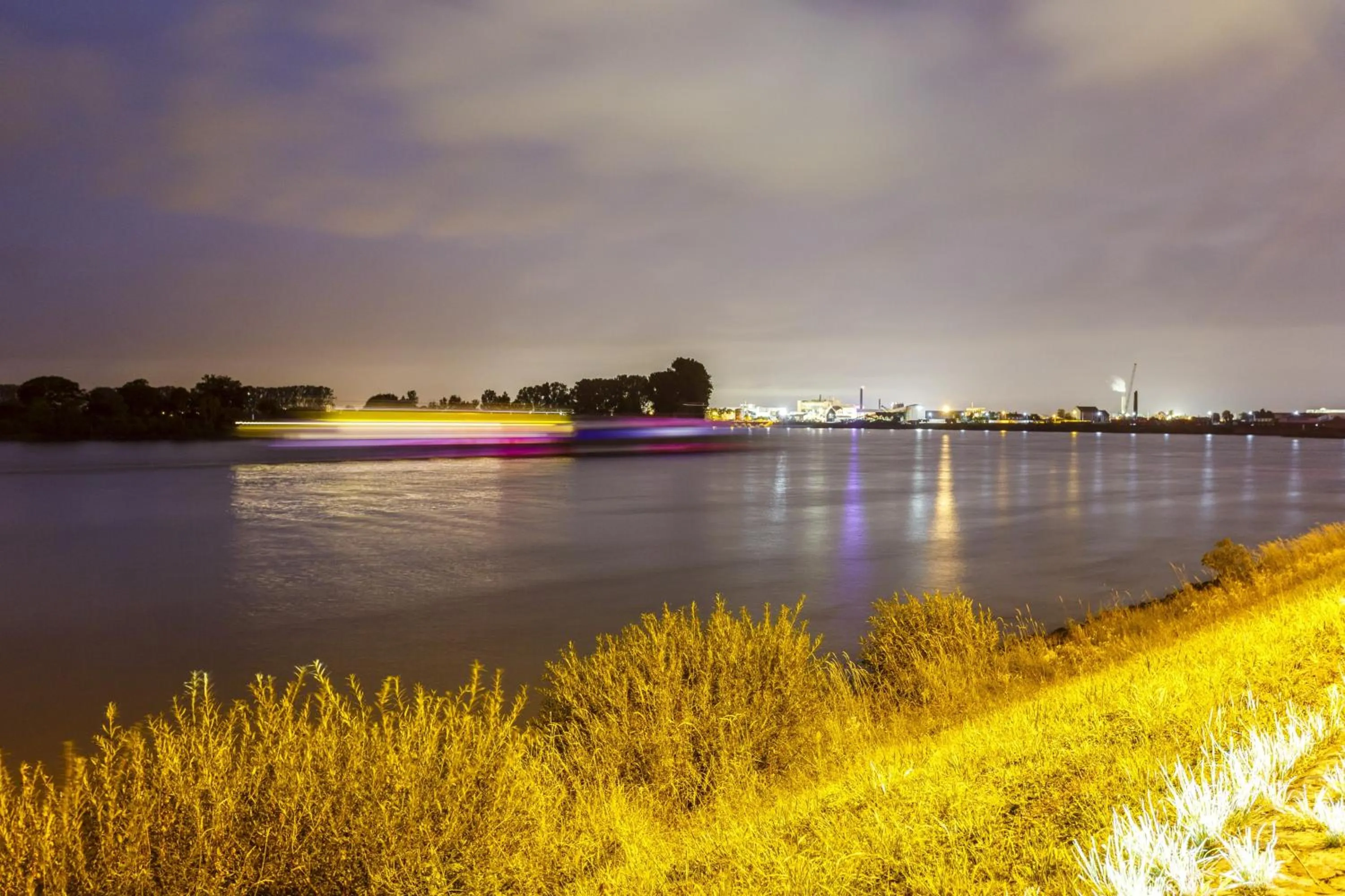 Natural landscape in Hotel Rheingold