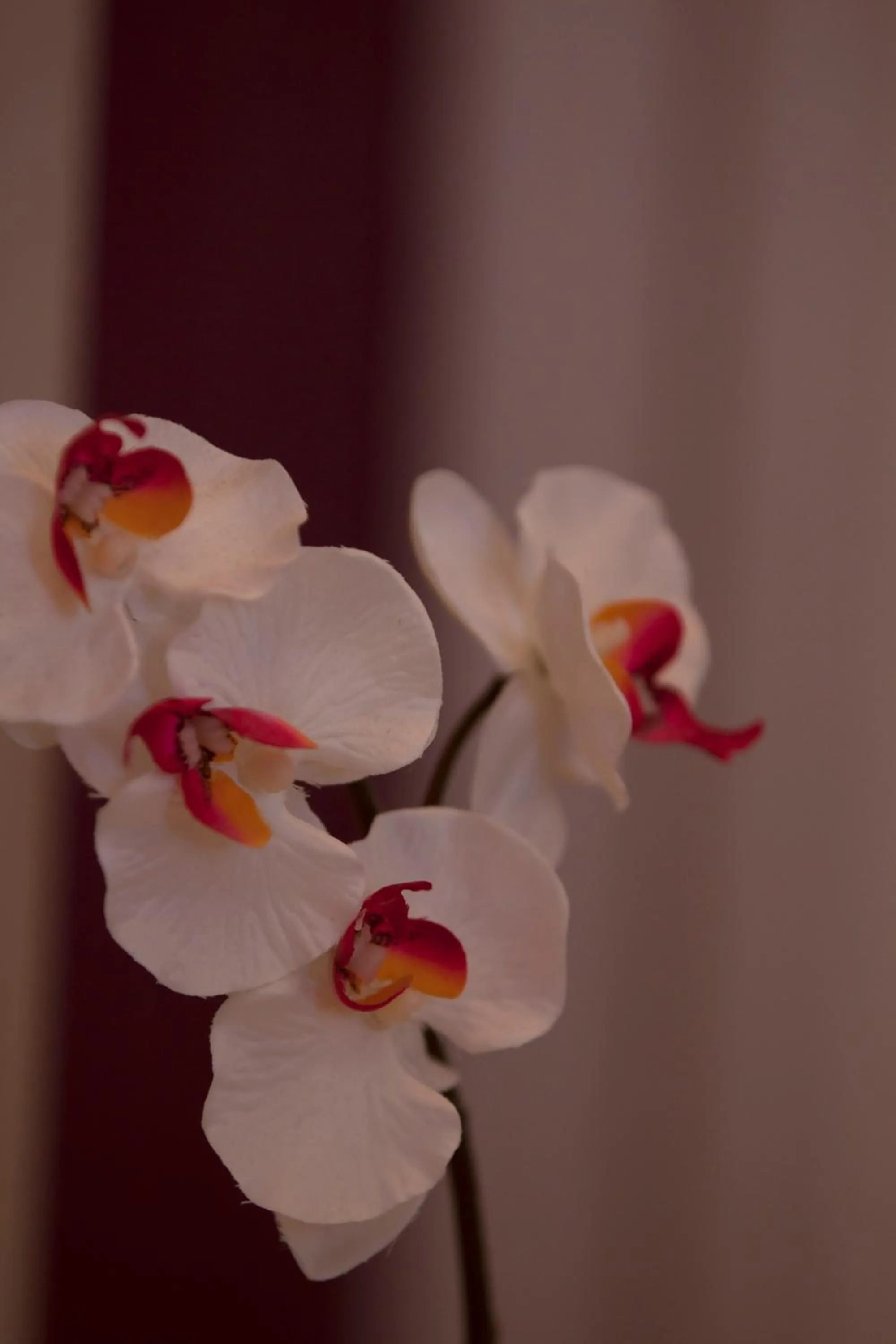 Bedroom in Logis Hotel Le Nuage