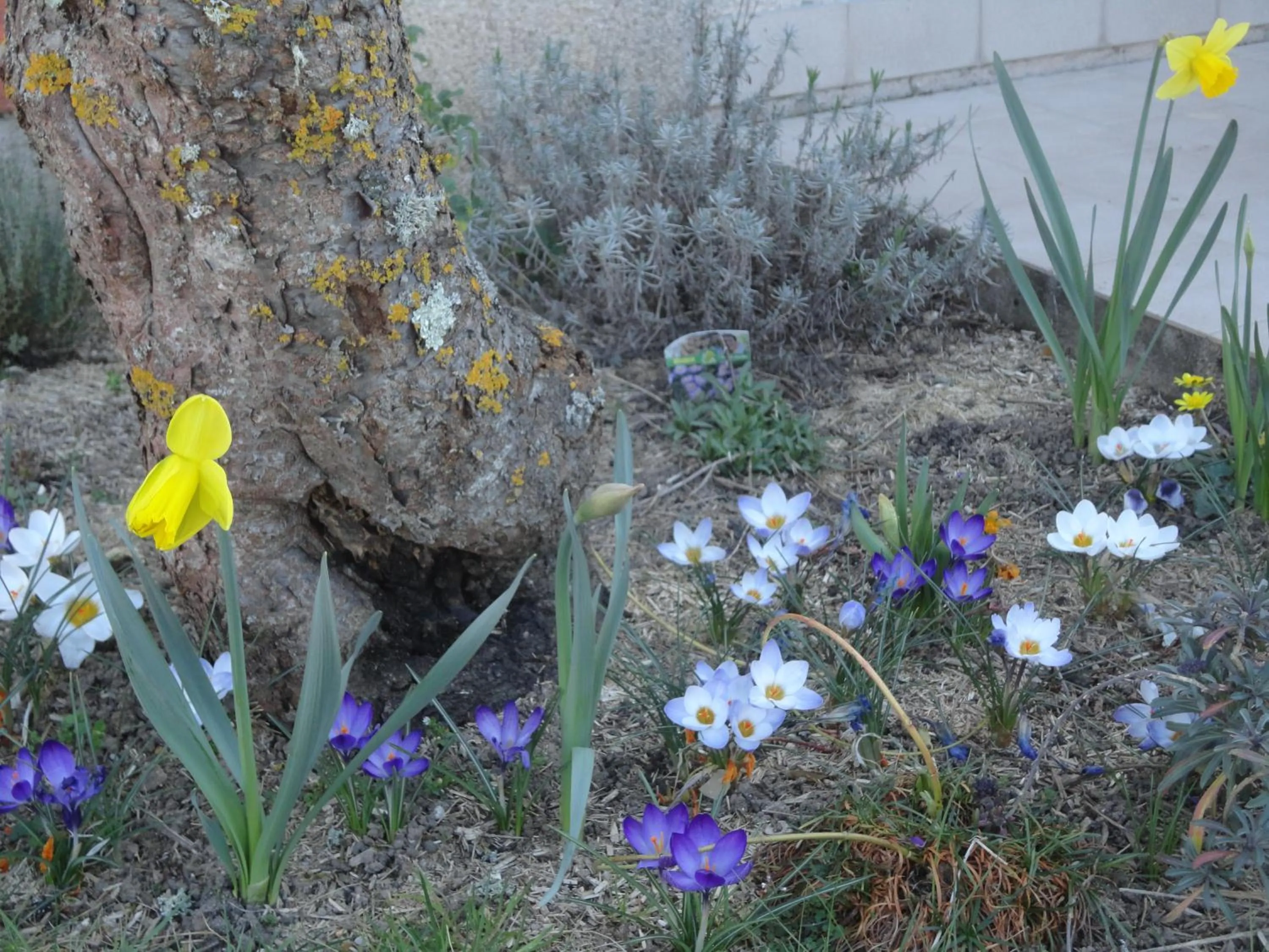Facade/entrance in Logis Hotel Le Nuage