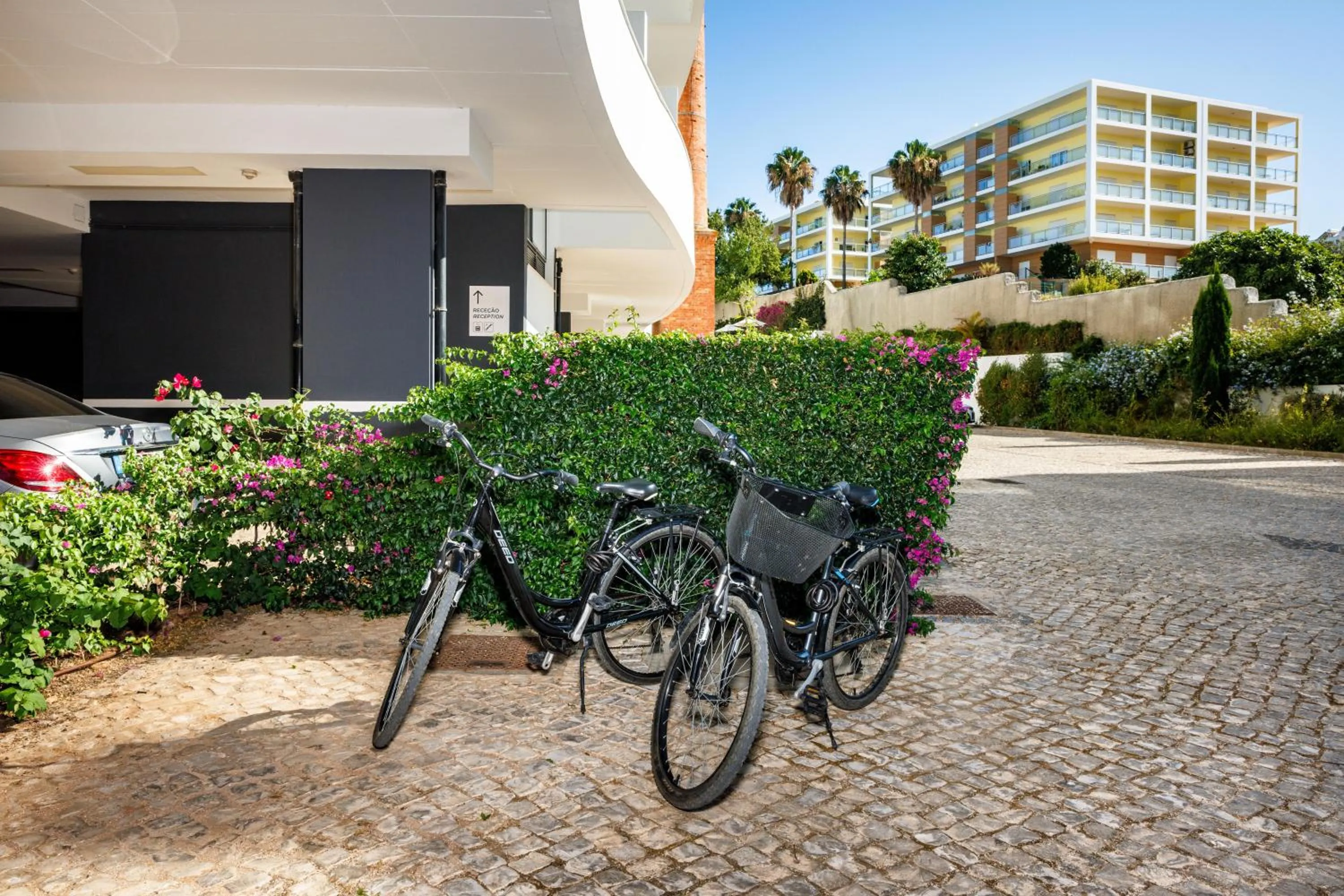 Activities in Jupiter Marina Hotel - Couples & Spa