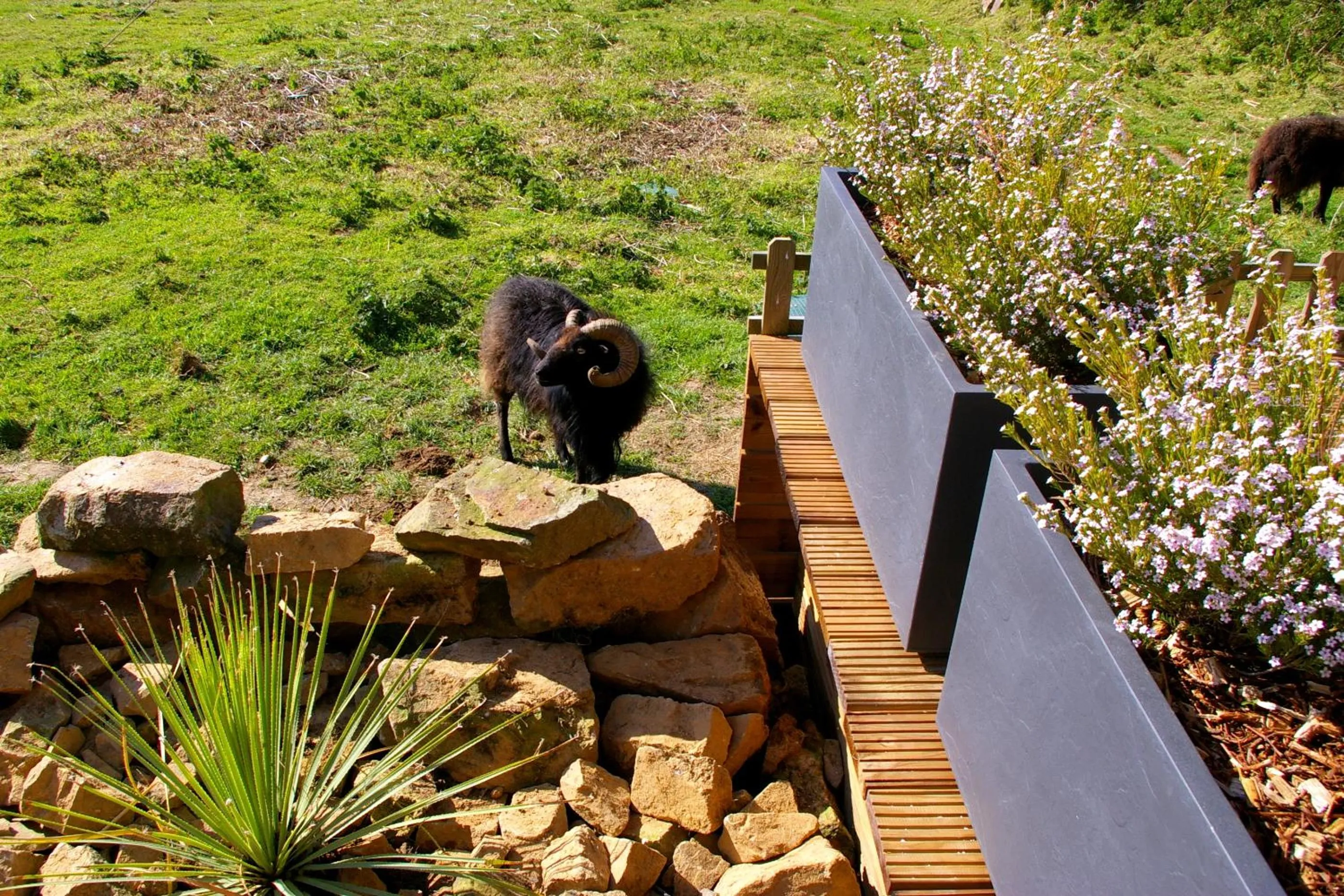 Area and facilities in Le Colombier Bretagne