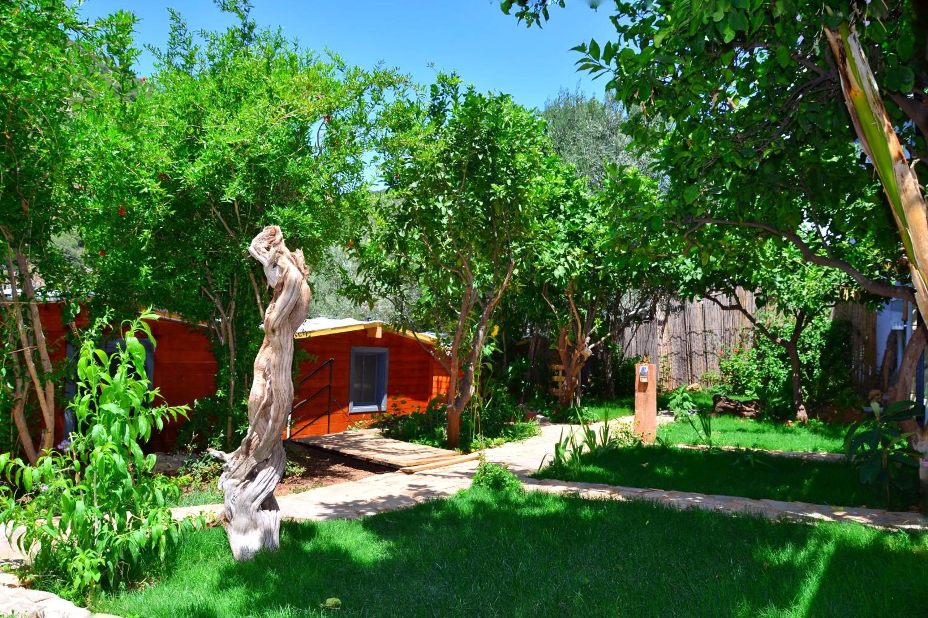 Garden in Likya SUP Apart