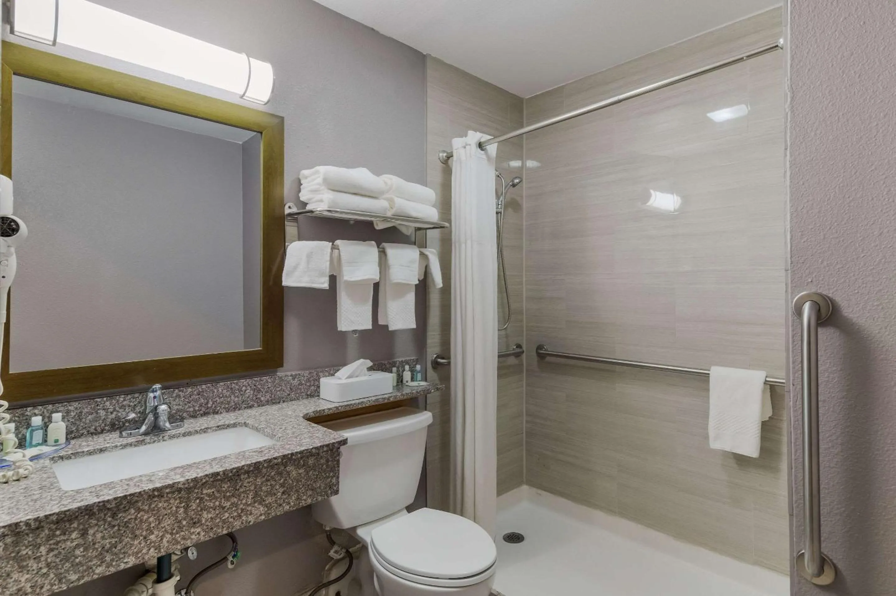 Queen Room - Accessible/Non Smoking in Quality Inn - Denton