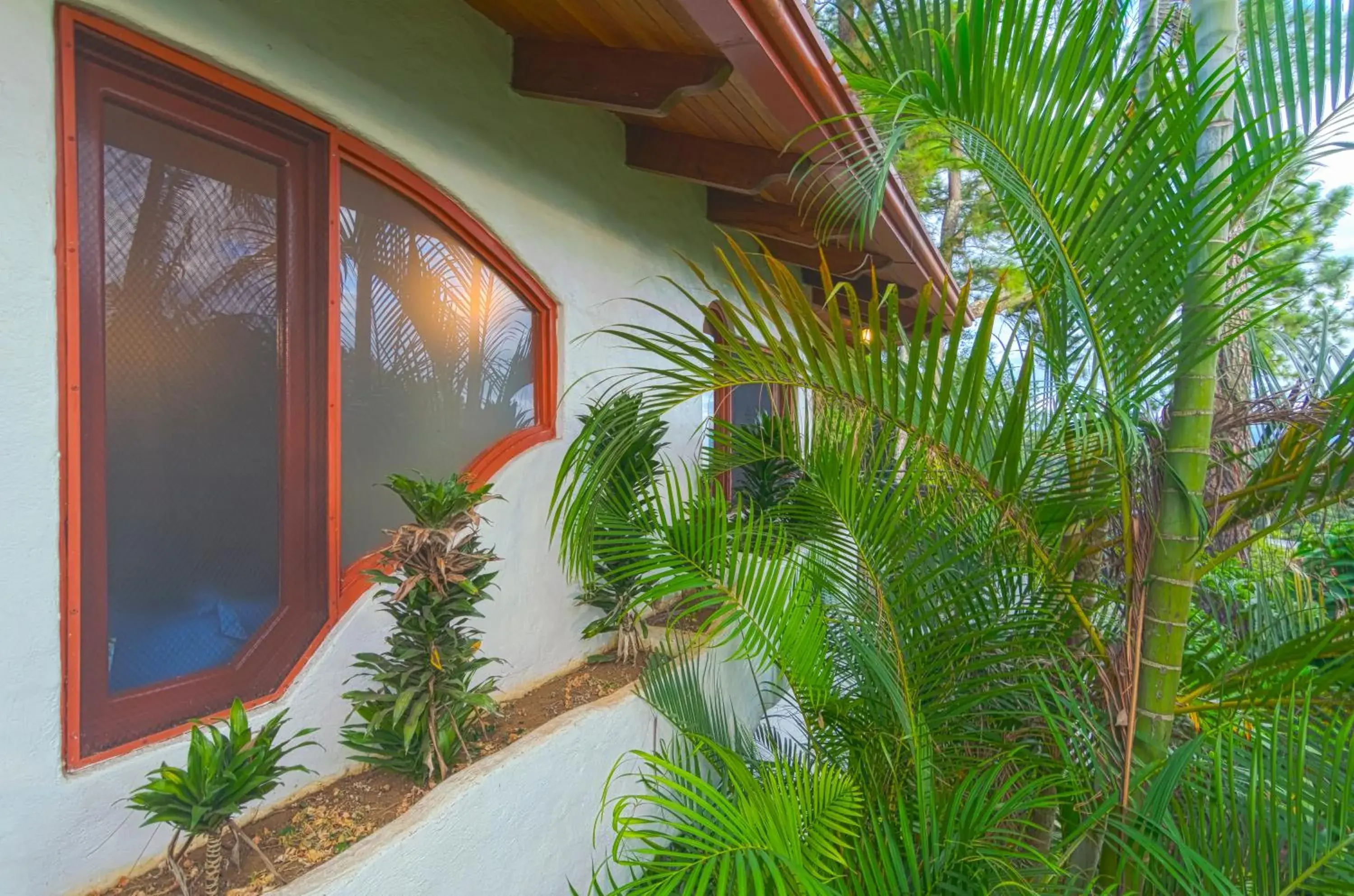 Superior Villa in Finca Rosa Blanca Coffee Farm and Inn Superior Villa in Finca Rosa Blanca Coffee Farm and Inn